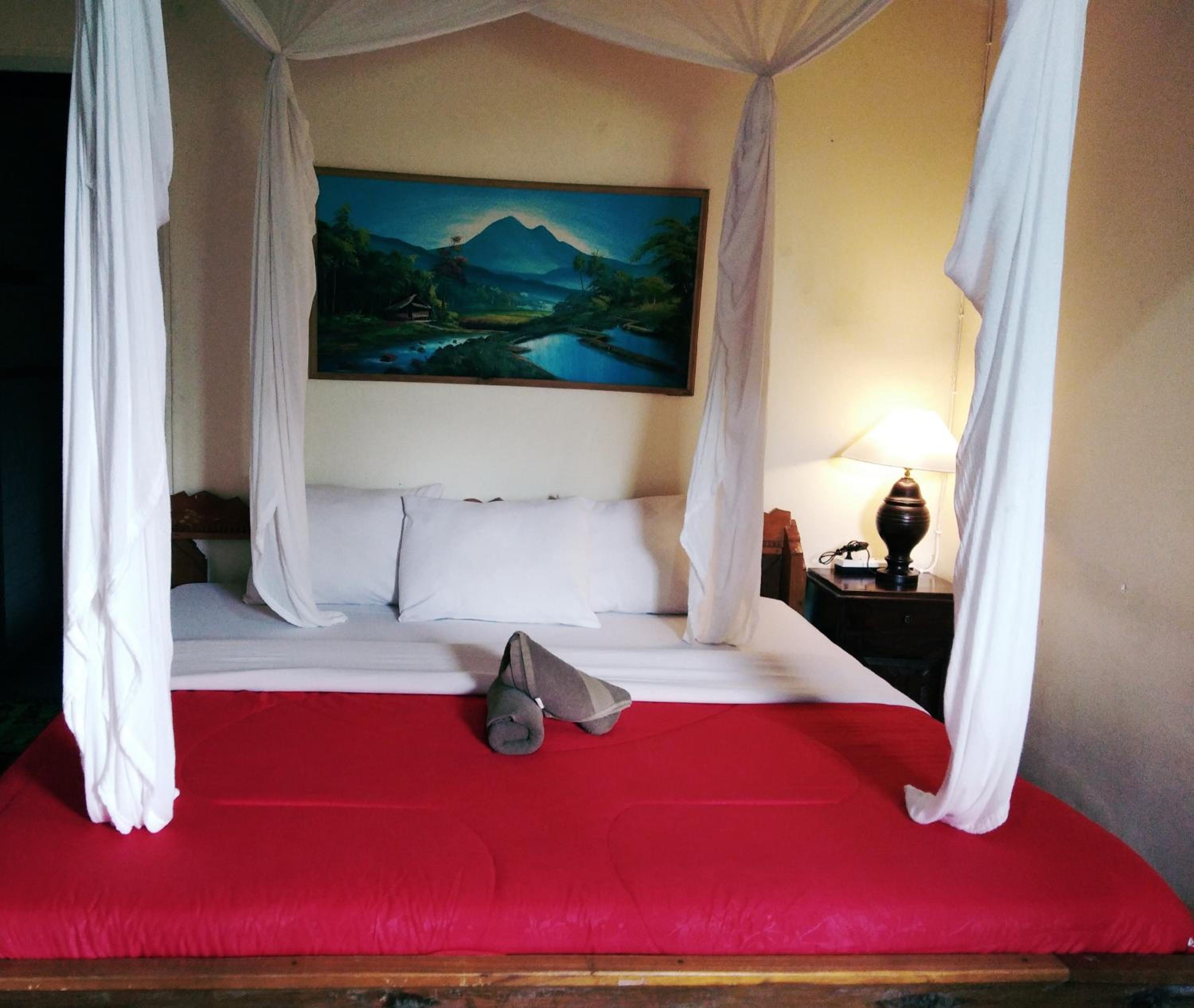 Standard Double Room - Photo 7