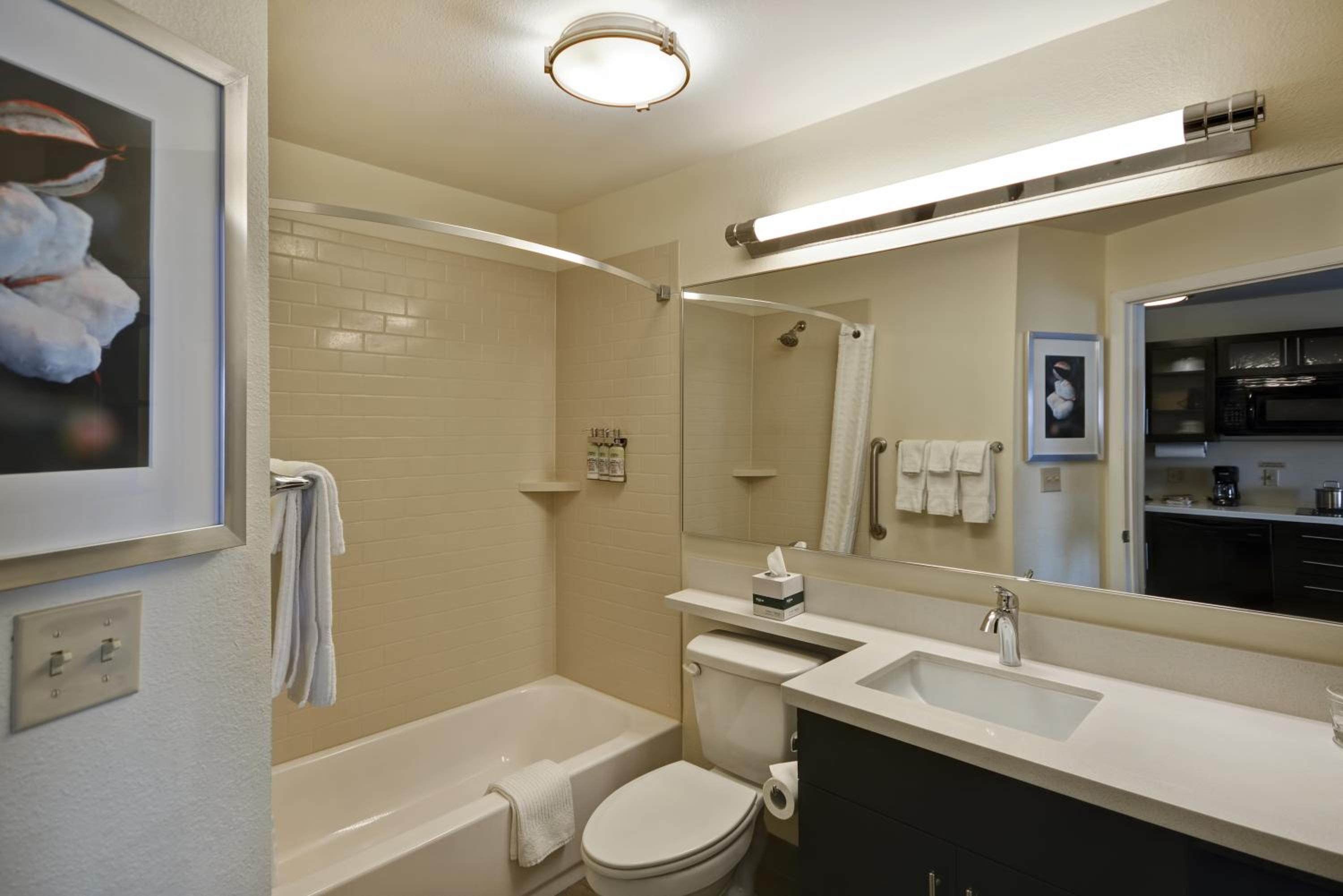 Studio Suite with Two Queen Beds photo 2