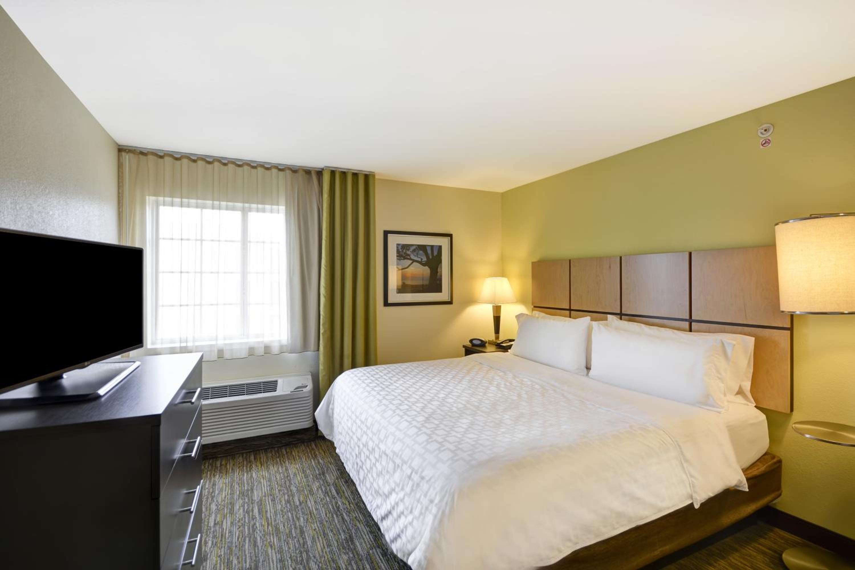 Queen Studio Suite - Communication Accessible photo 3