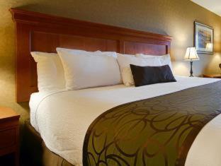 King Room - Pet Friendly/Non-Smoking - Photo 6