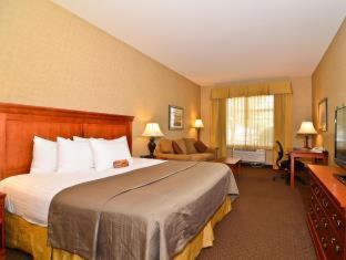 King Room - Pet Friendly/Non-Smoking - Photo 5
