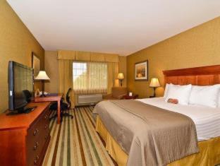 King Room - Pet Friendly/Non-Smoking - Photo 7