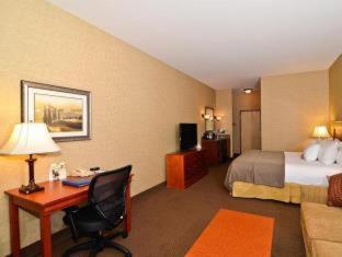King Room - Pet Friendly/Non-Smoking - Photo 4