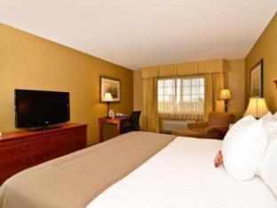 King Room - Pet Friendly/Non-Smoking - Photo 3