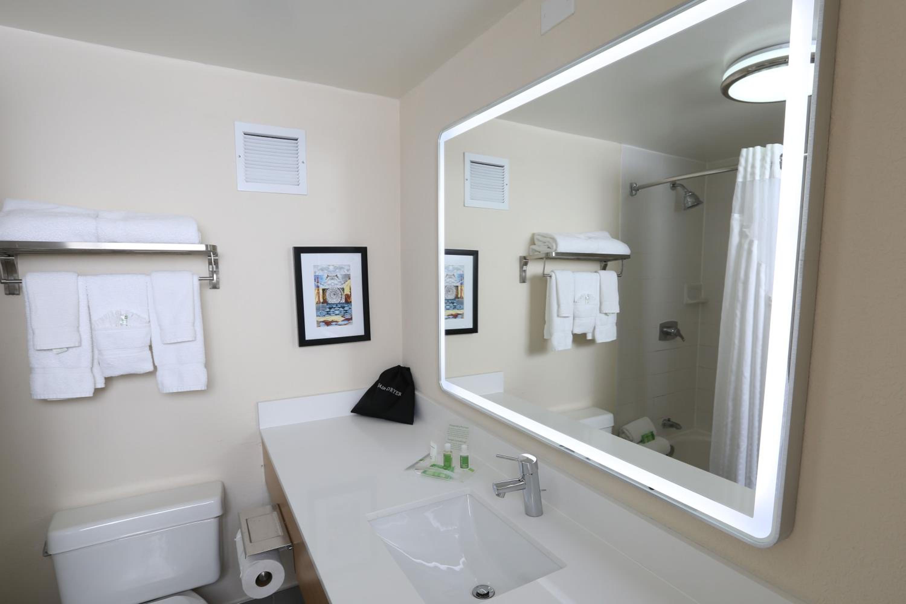 Premium King Room - Photo 3