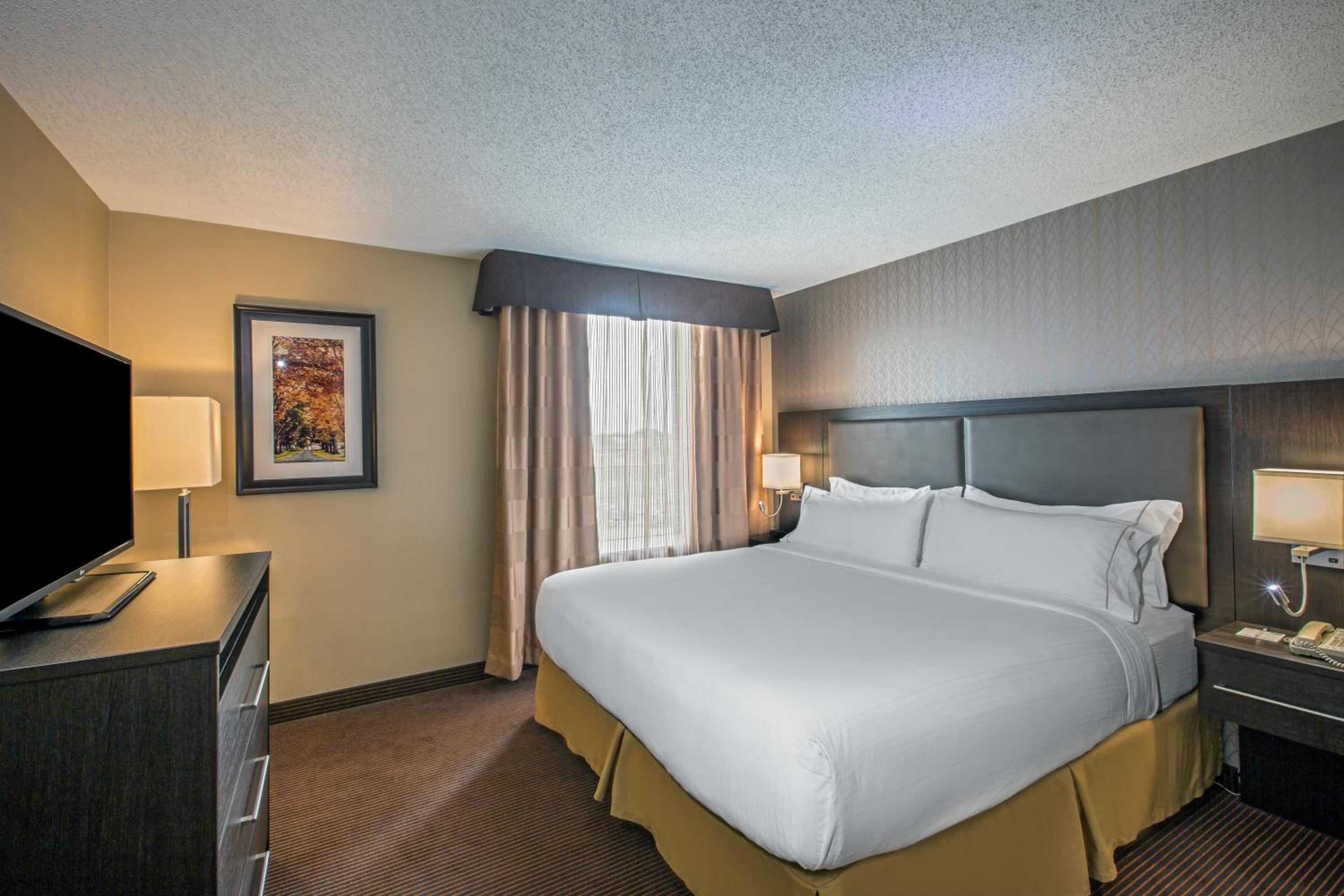 1 Bedroom Suite - Non Smoking - Photo 3