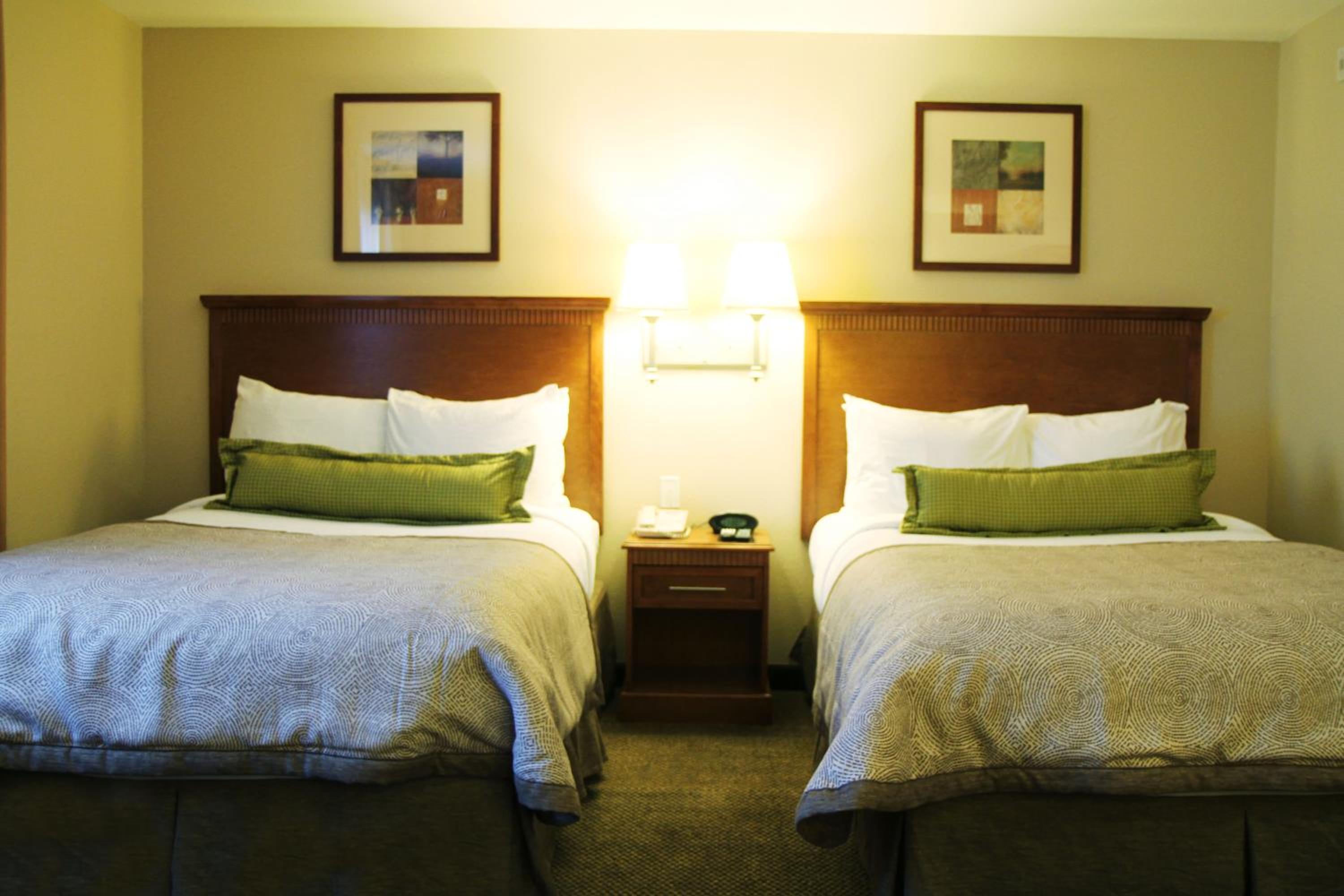 Studio Suite with Two Double Beds - Photo 2