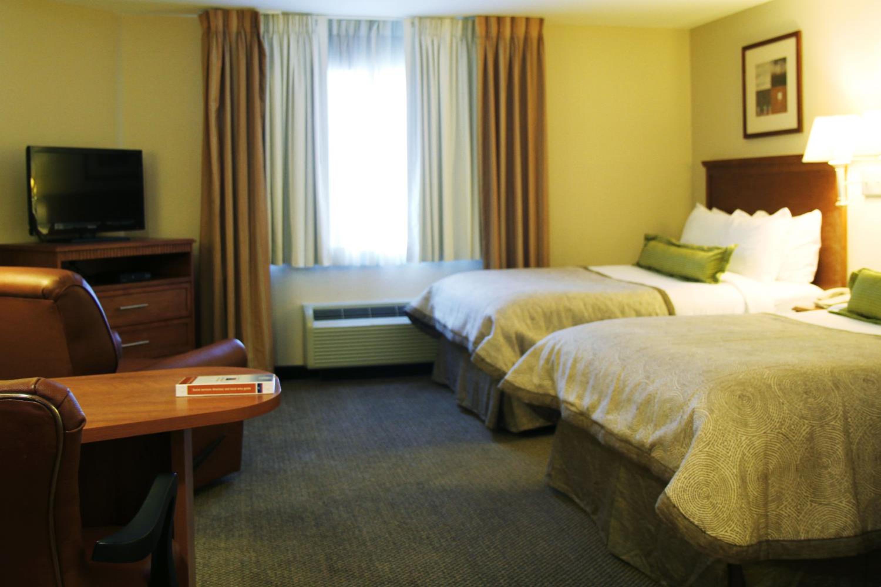 Studio Suite with Two Double Beds - Photo 1