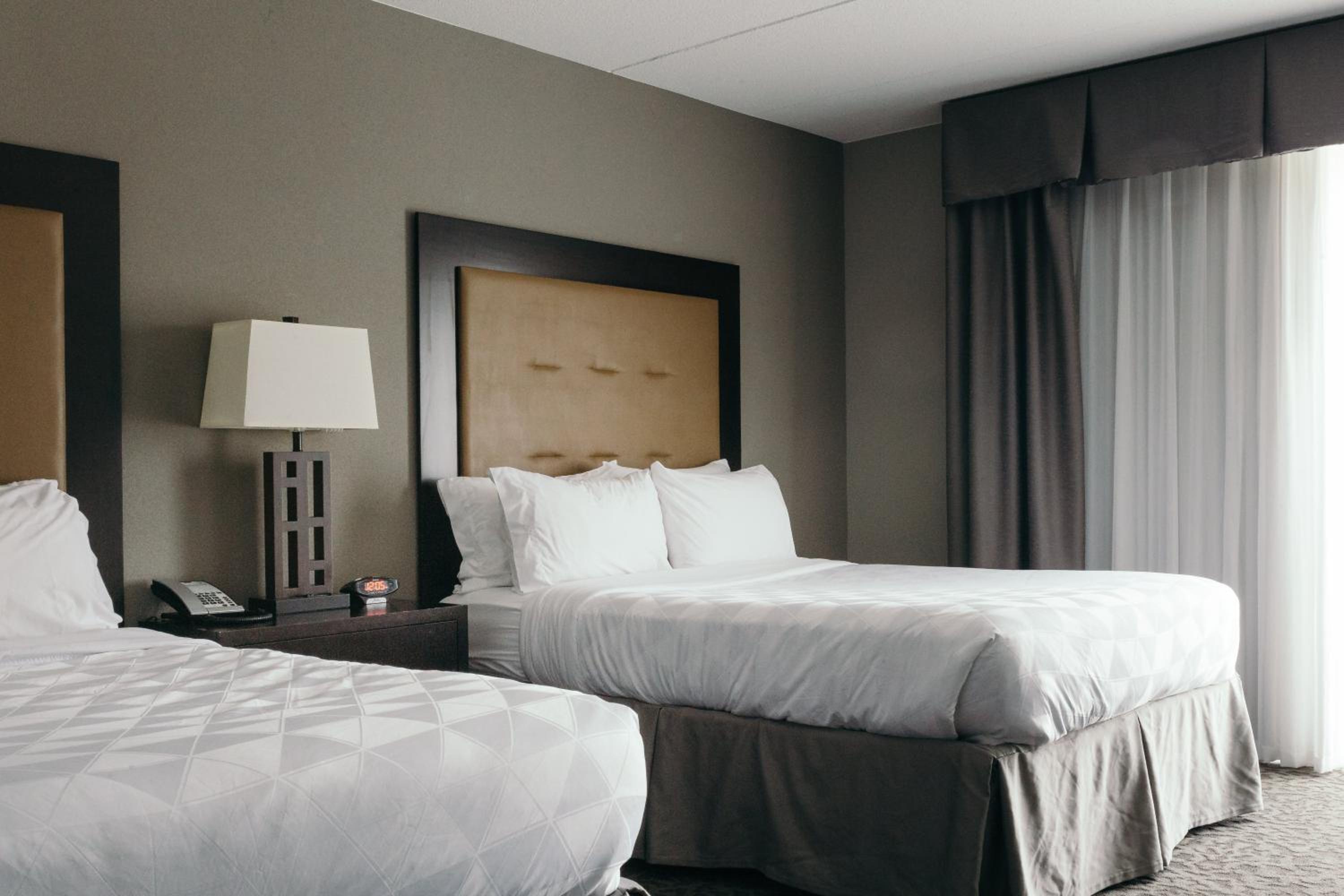 One-Bedroom Suite with Sofa Bed