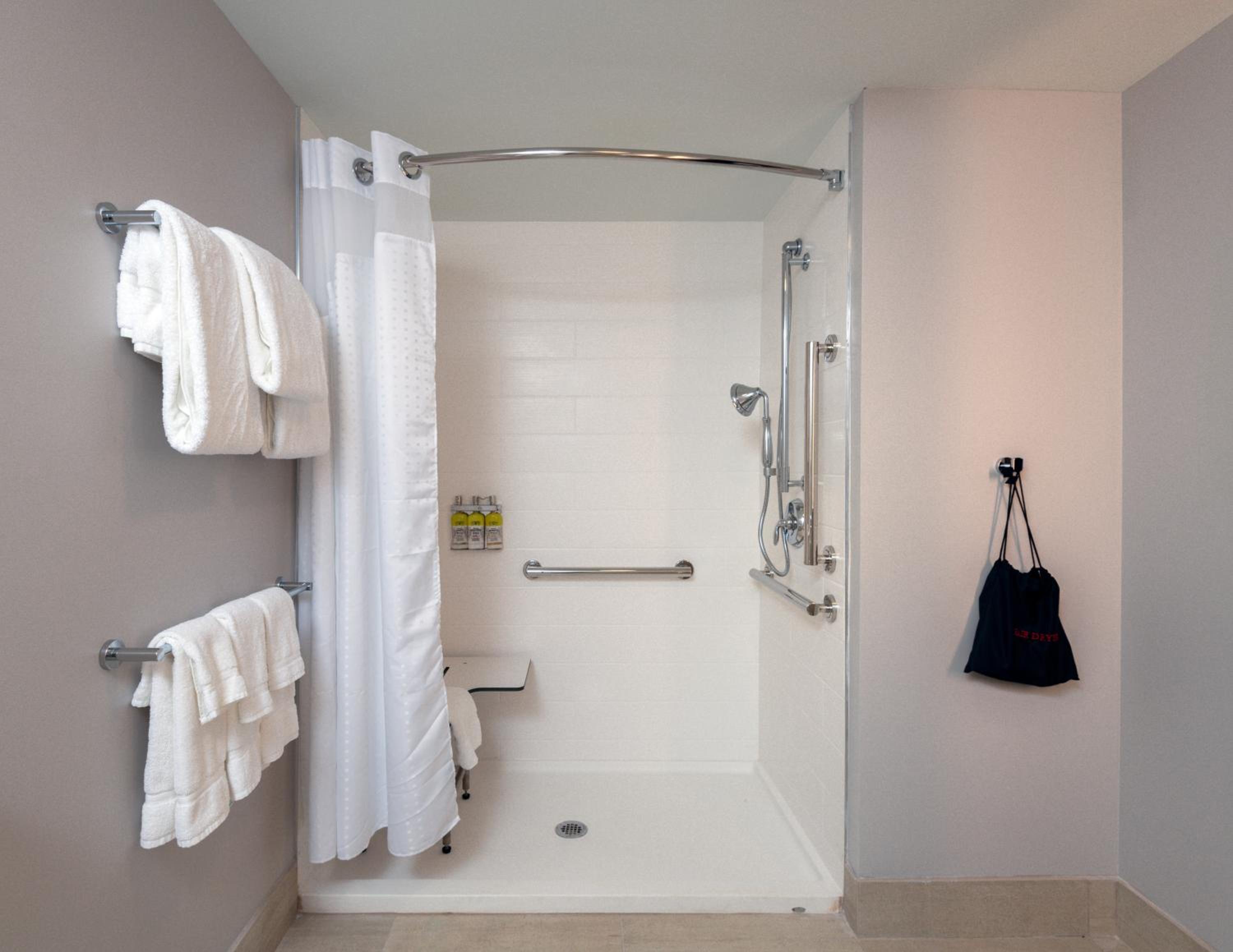 Suite - Mobility Access Roll in Shower/Non-Smoking photo 2