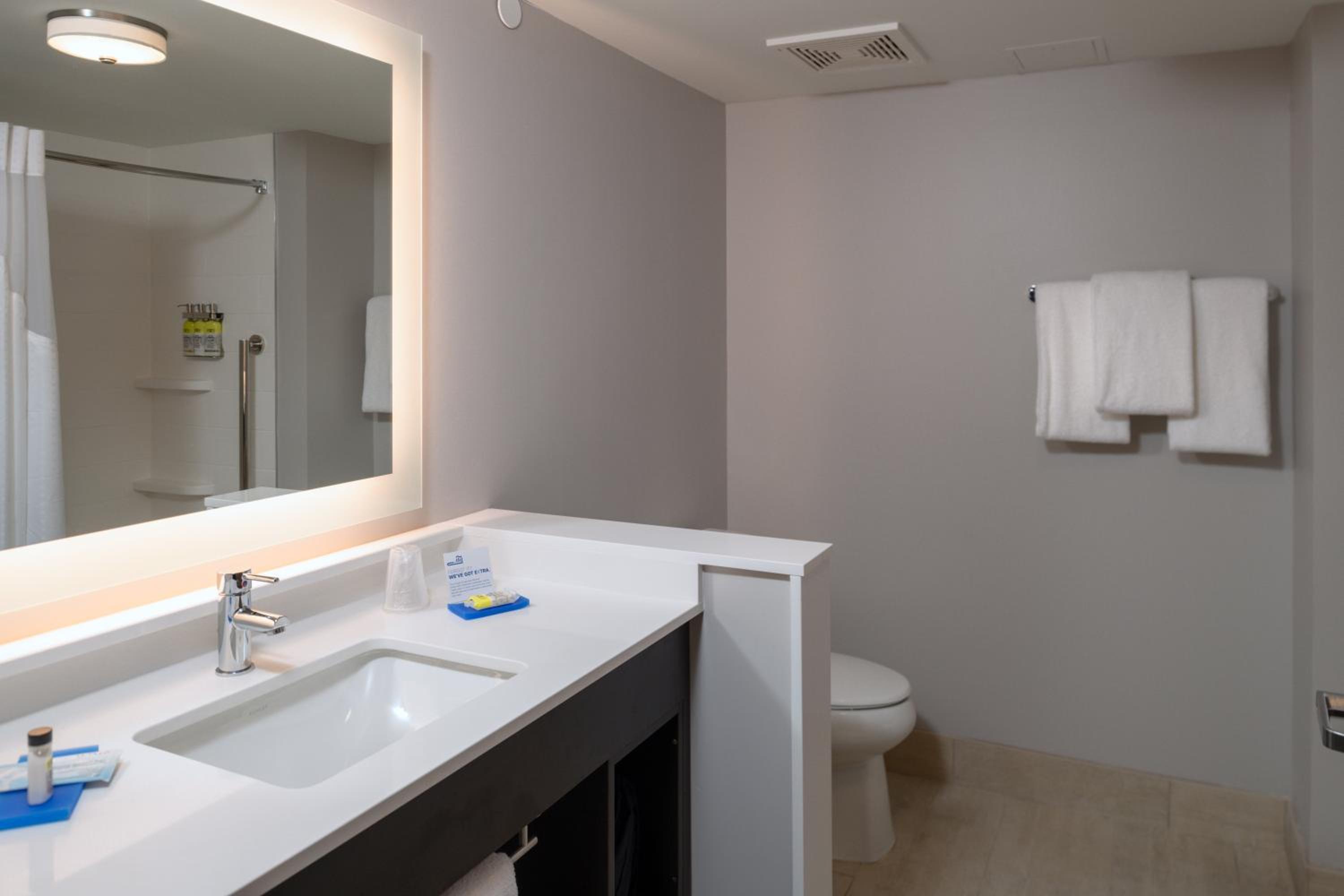 Suite - Mobility Access Roll in Shower/Non-Smoking photo 3