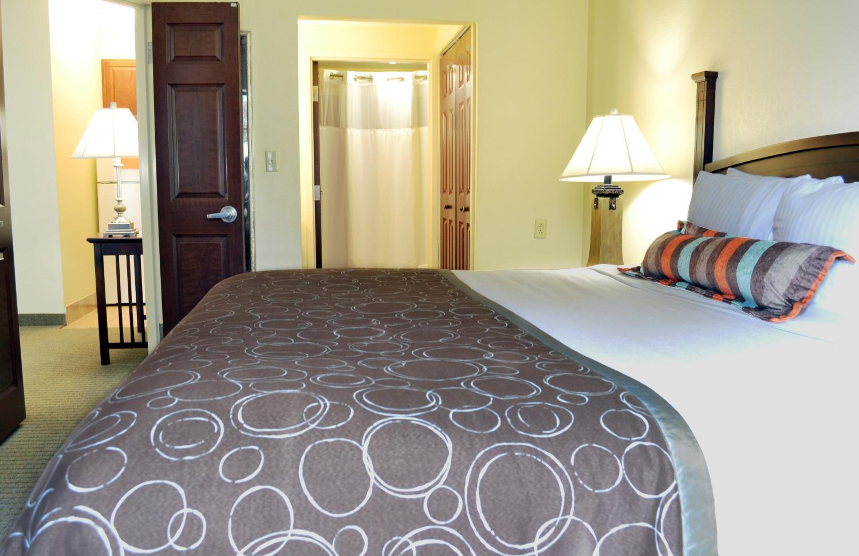 One-Bedroom Suite photo 1