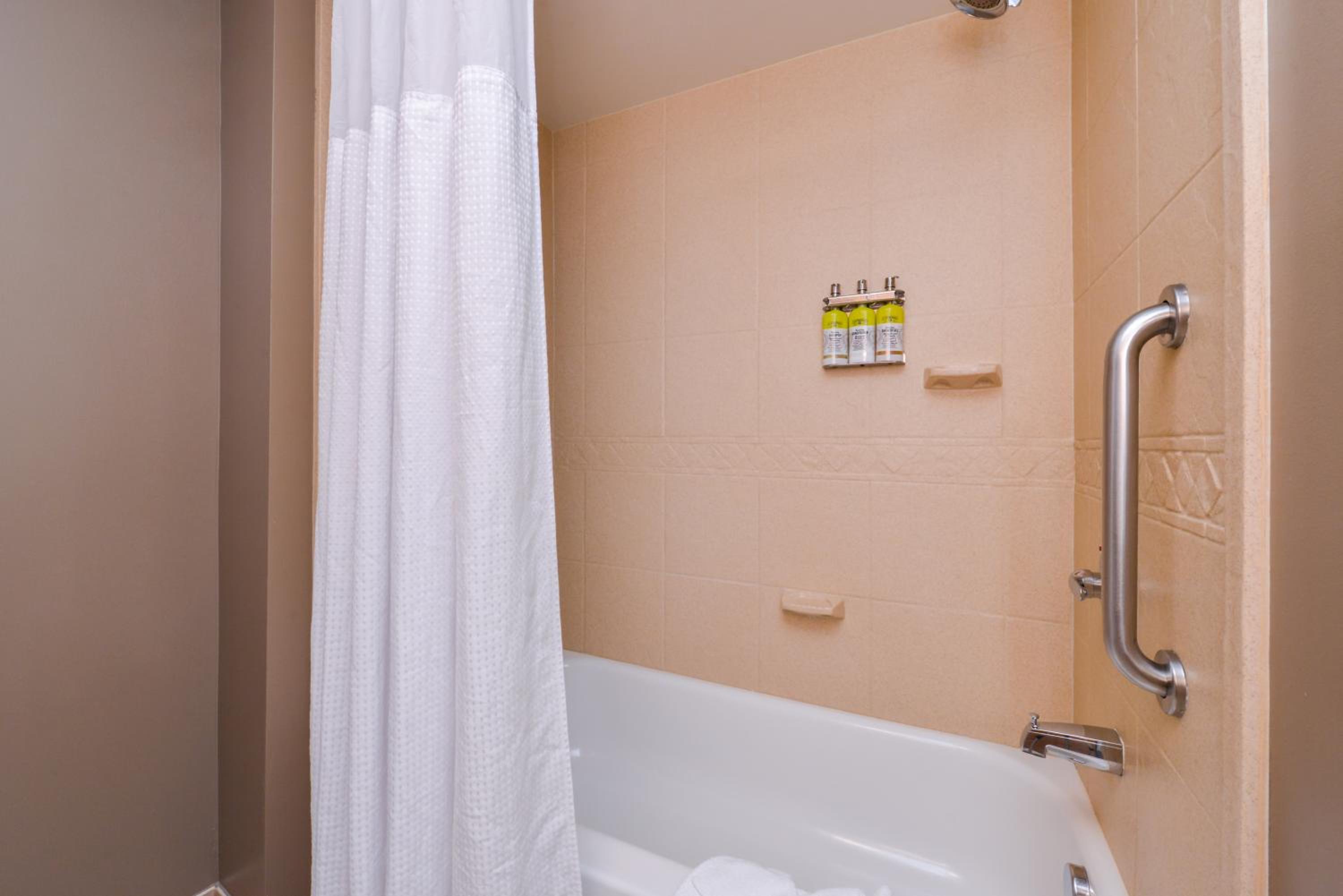 Two-Bedroom Suite - Photo 5