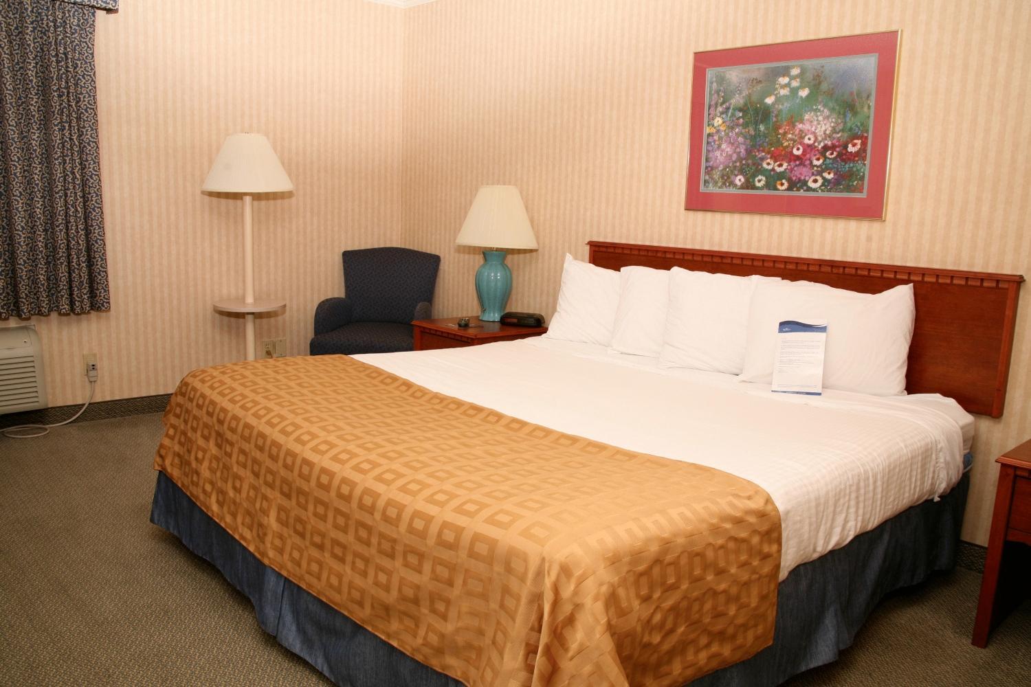 King Room - Non-Smoking - Photo 1