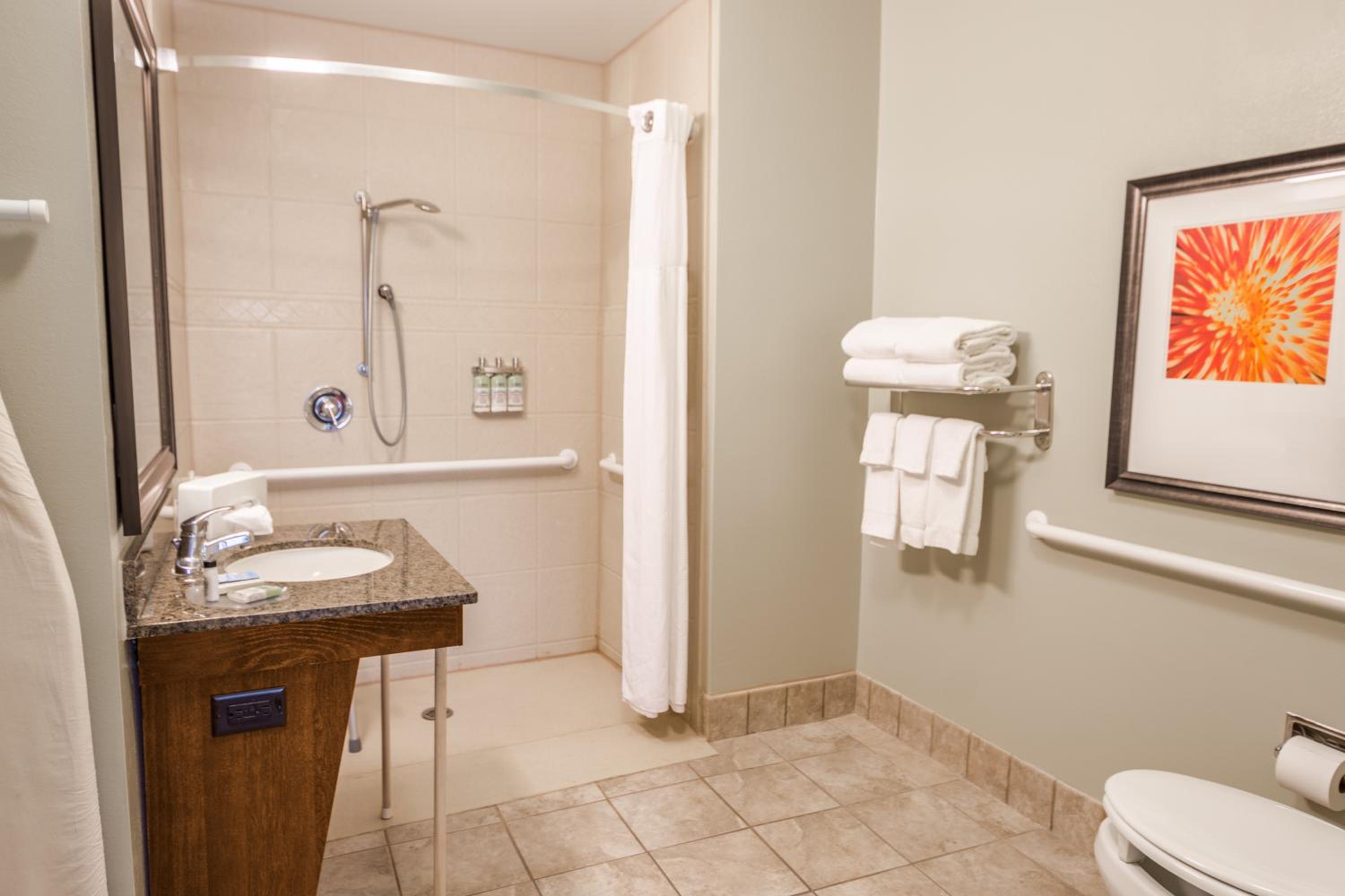 One-Bedroom King Suite with Communications Accessible Roll-In Shower - Photo 5