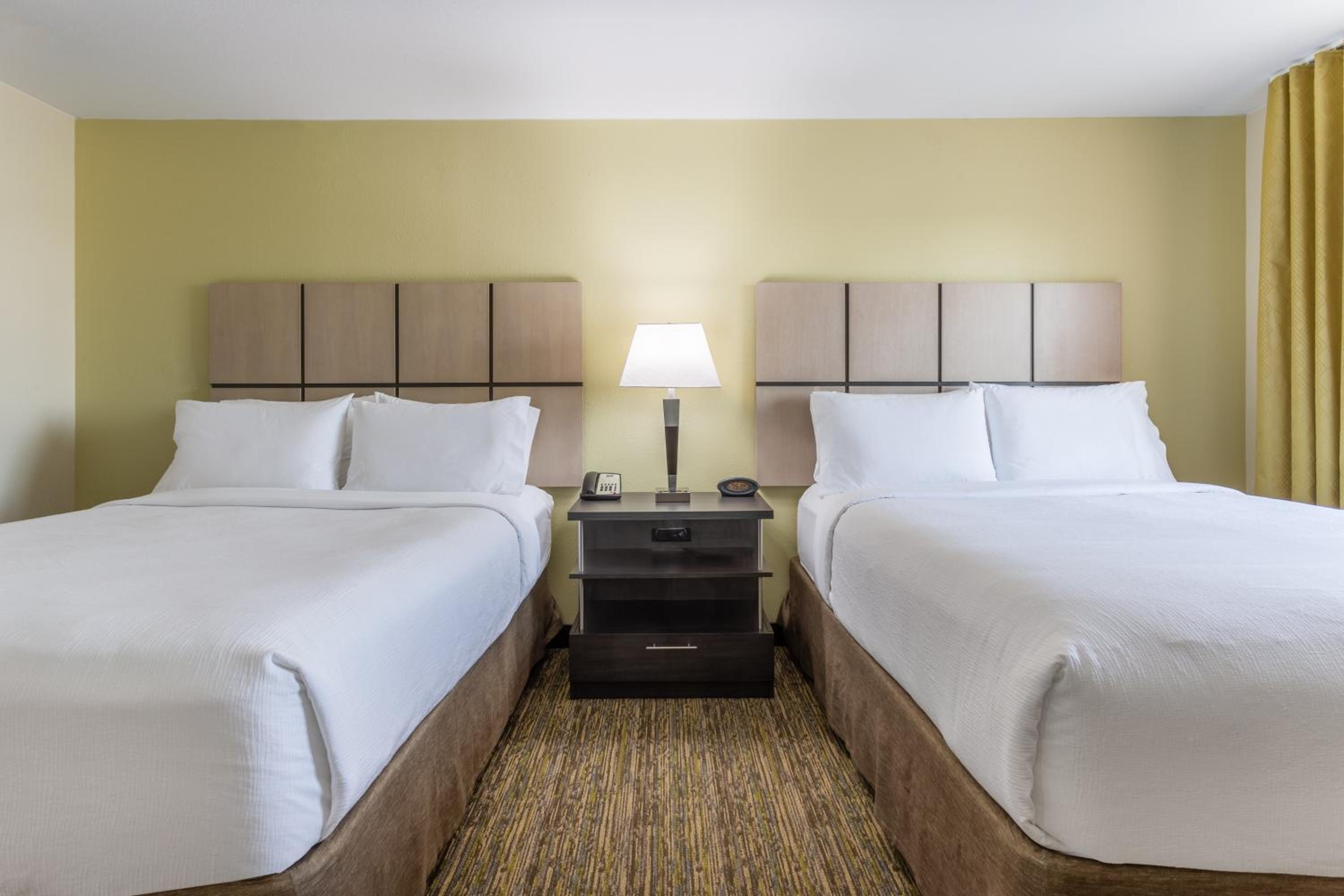 Studio Suite with Two Double Beds - Photo 4