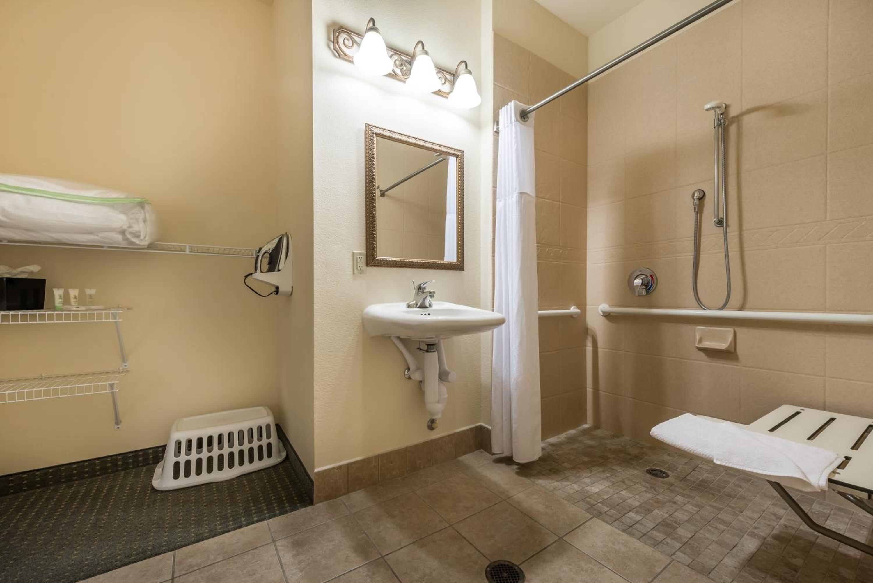 Queen Studio Suite - Mobility Access Roll in Shower/Non-Smoking - Photo 3