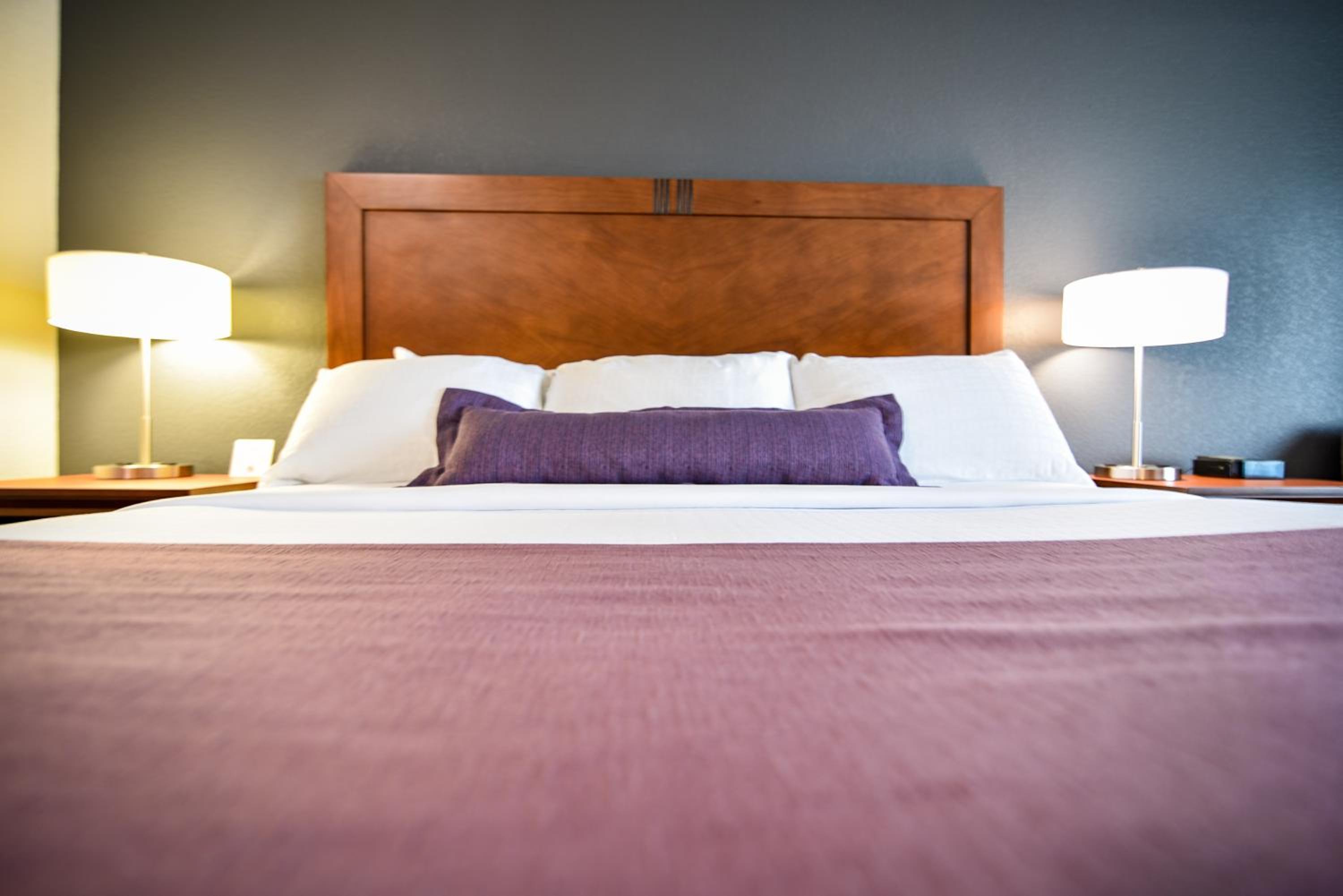 Suite photo 1