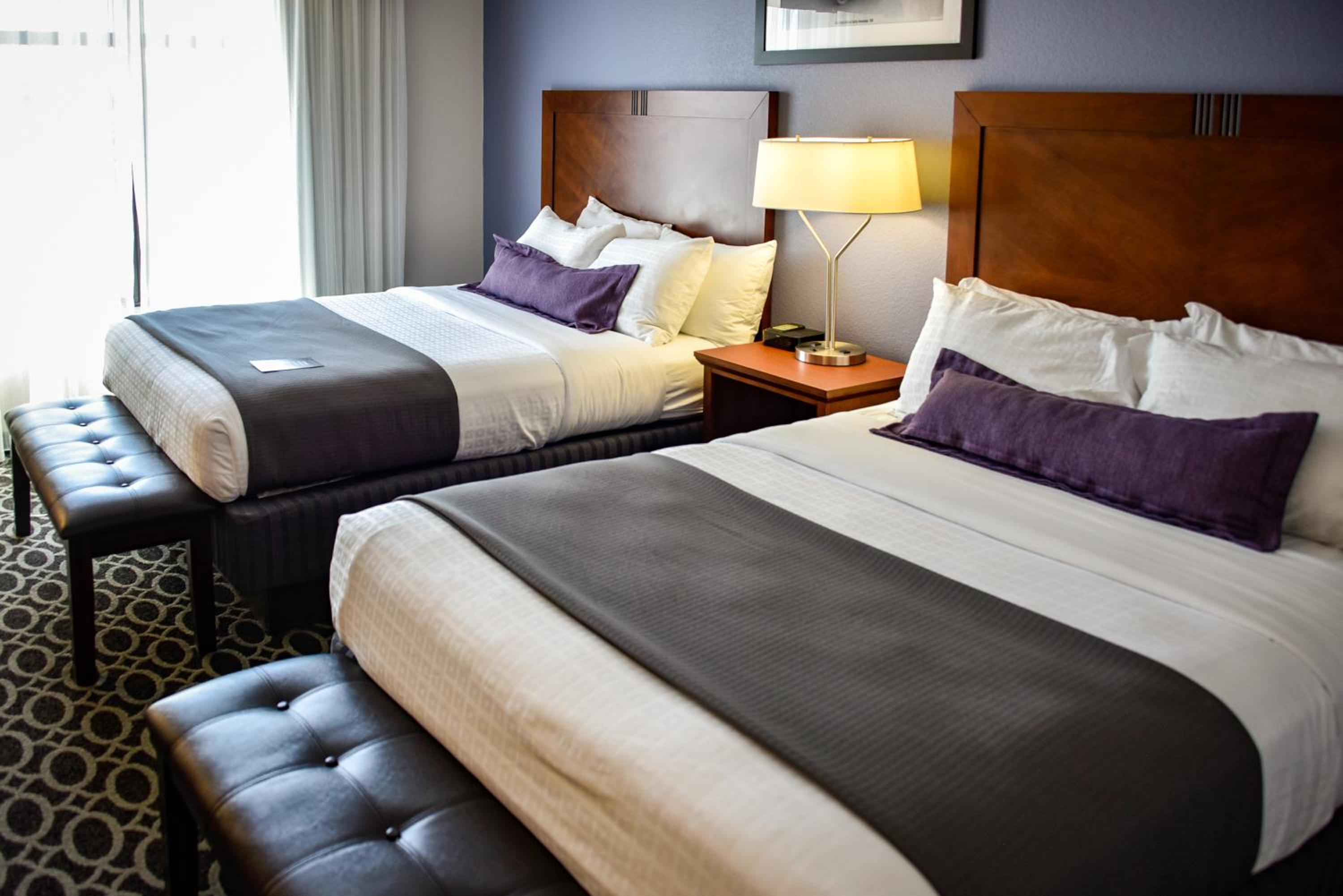 Queen Suite with Two Queen Beds photo 1