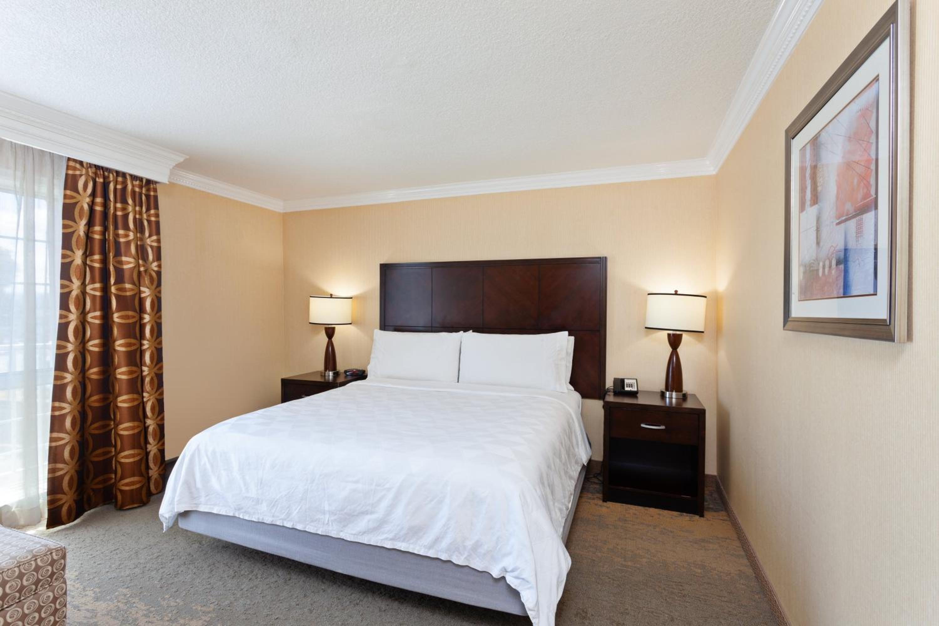 One-Bedroom King Suite - Photo 1