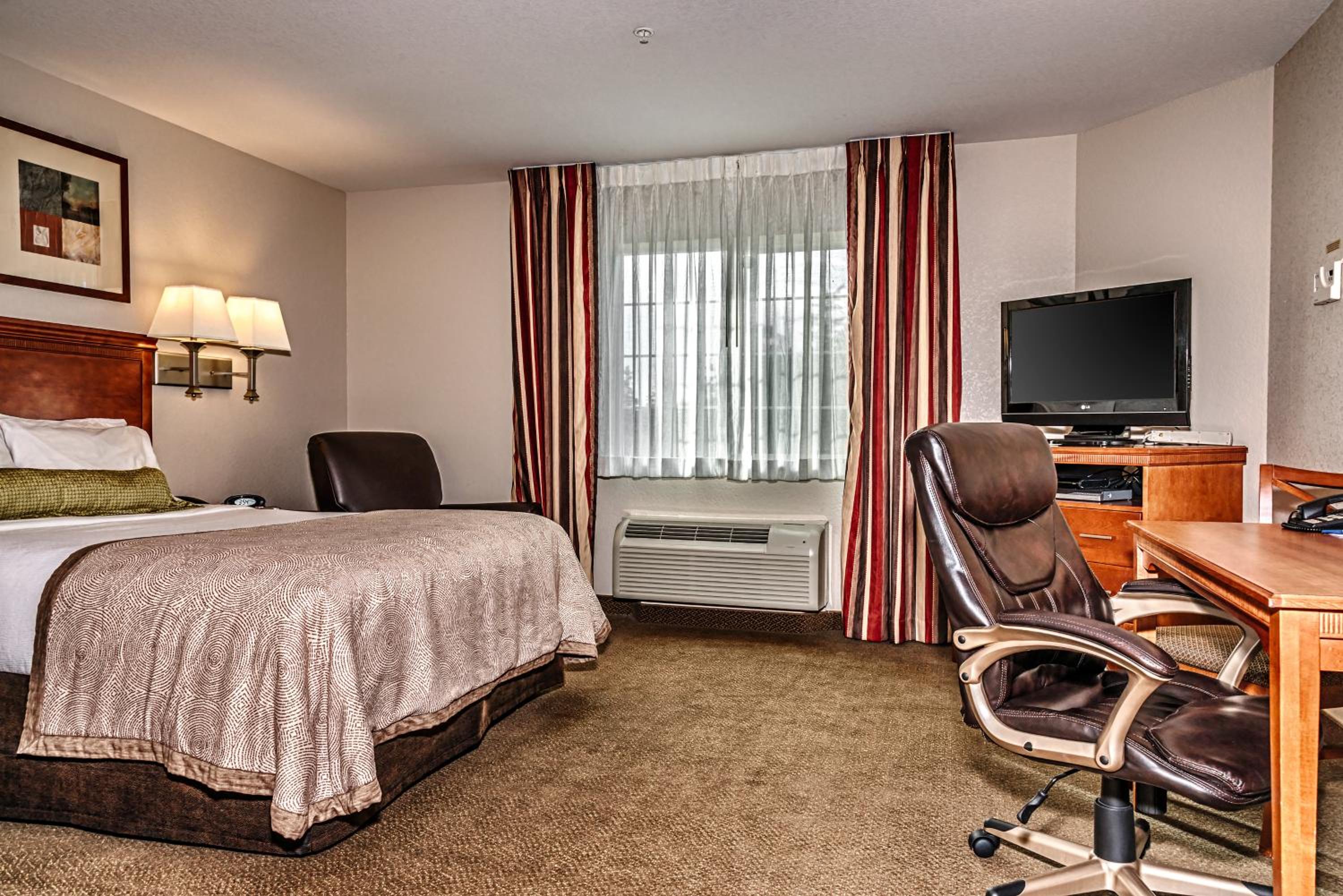 Queen Studio Suite - Photo 1