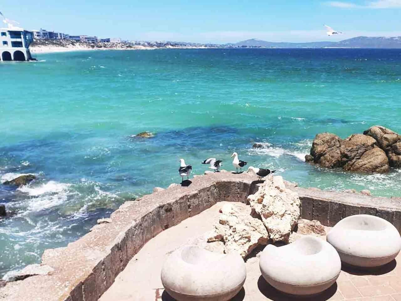 Studio with Sea View - Photo 17