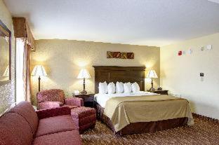 Double Room with Two Double Beds - Pet Friendly/Non-Smoking - Photo 5