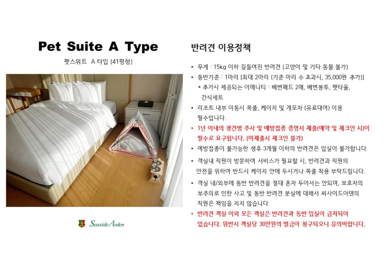 Deluxe Suite - Pet Friendly - Photo 25