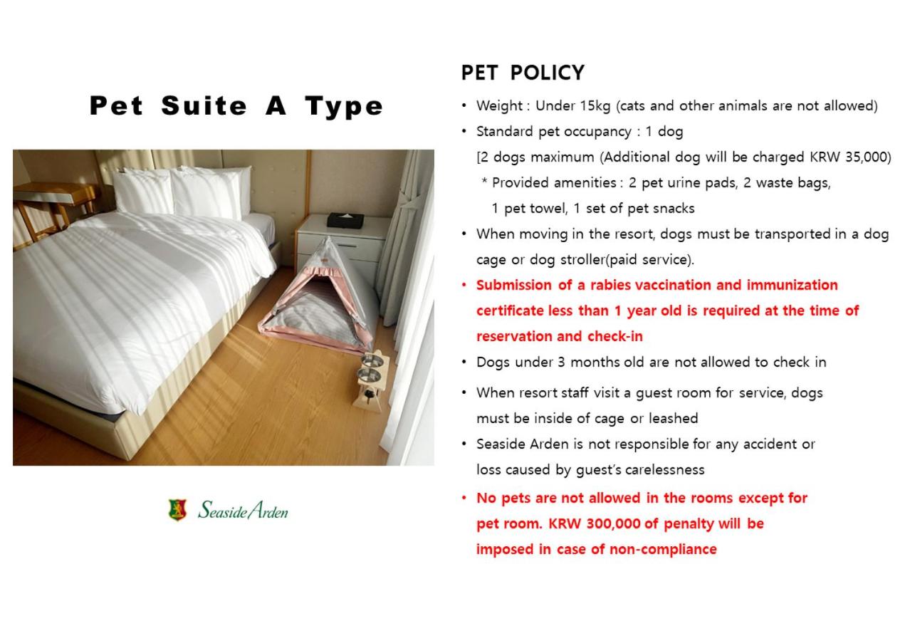 Deluxe Suite - Pet Friendly - Photo 26