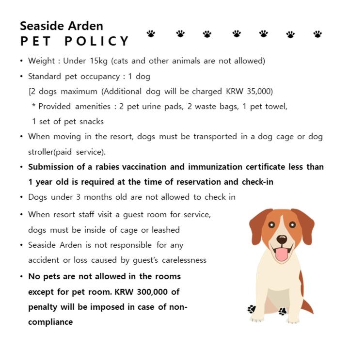 Deluxe Suite - Pet Friendly - Photo 27