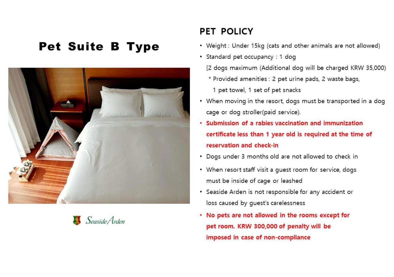 Family Suite - Pet Friendly - Photo 2