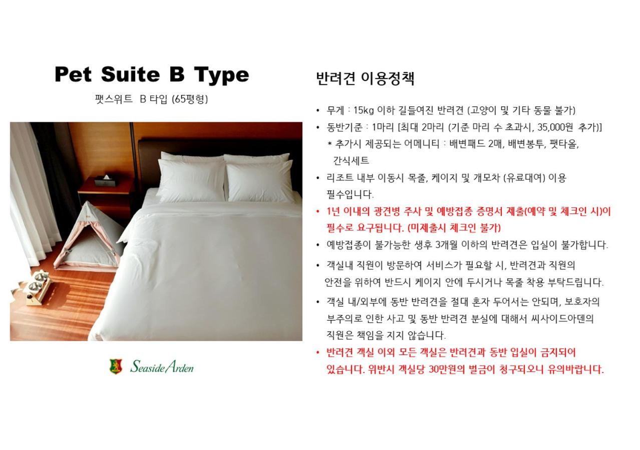 Family Suite - Pet Friendly - Photo 15