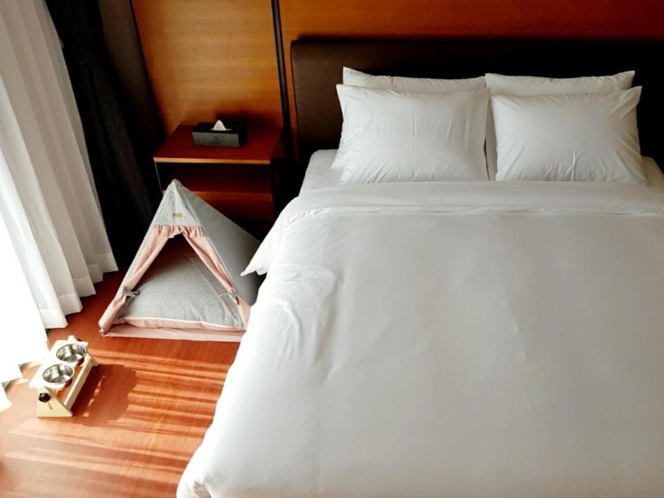 Family Suite - Photo 18