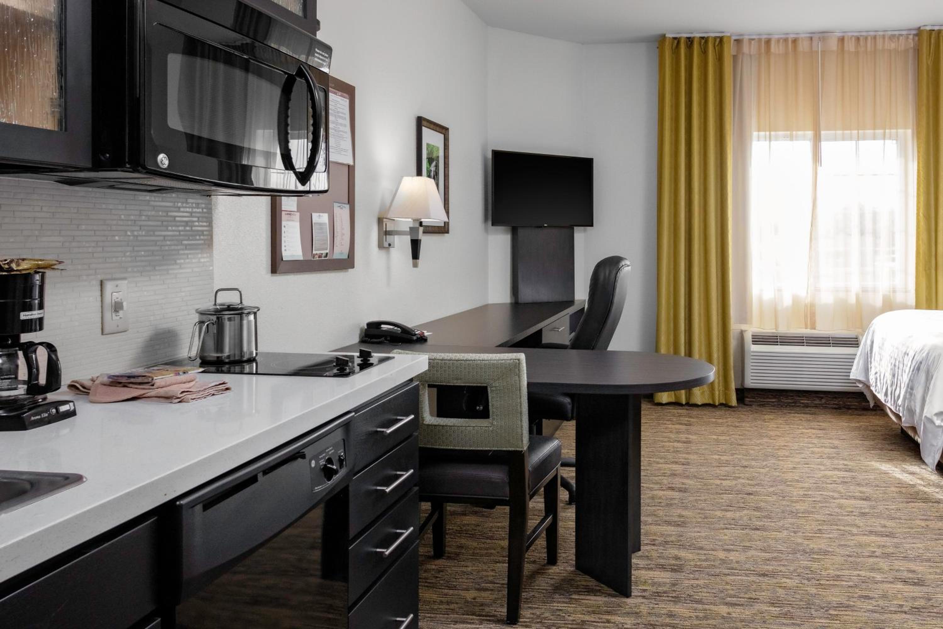 Studio Suite with Two Double Beds photo 1