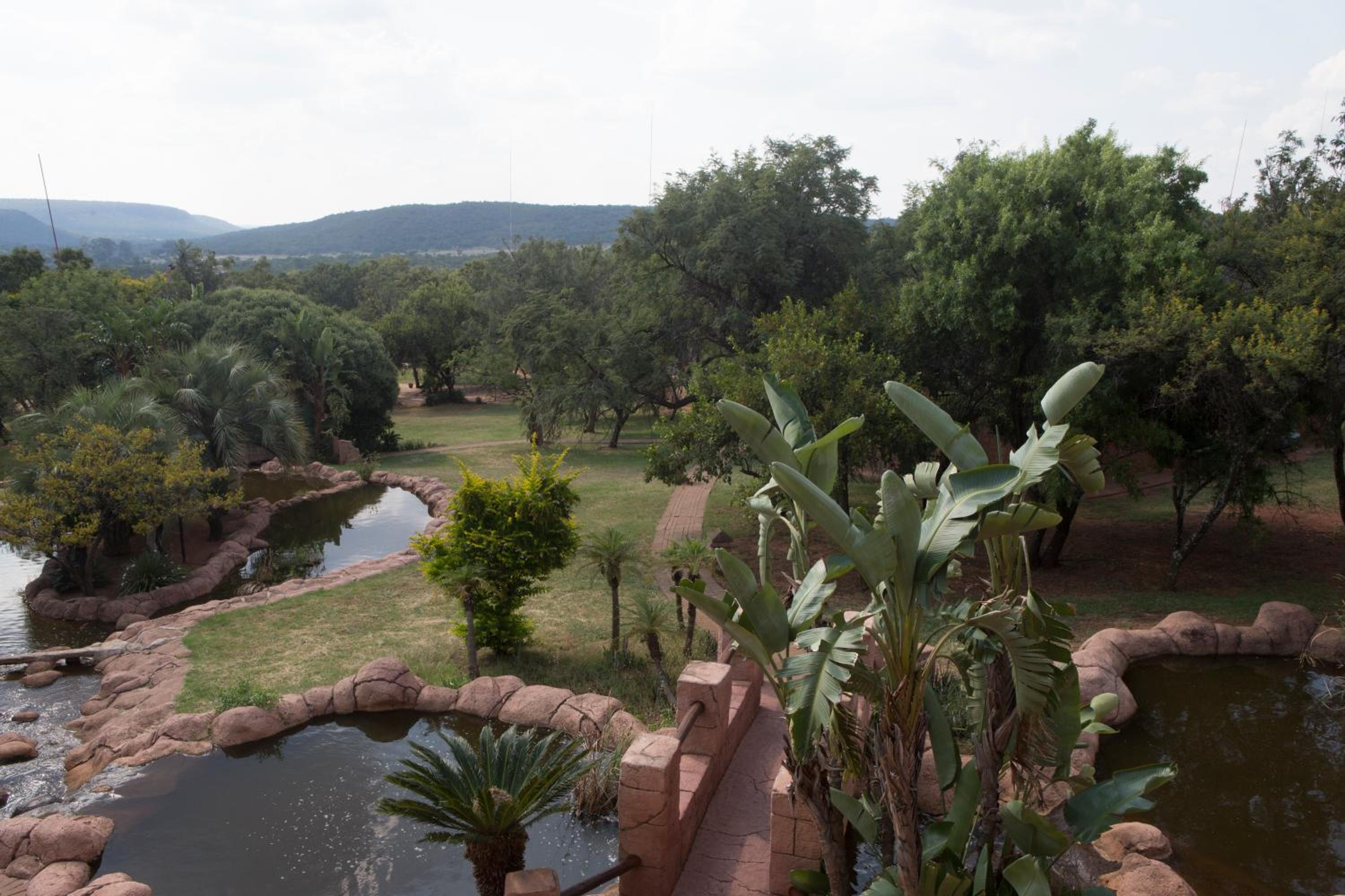 Superior Double Room - Mountain Lodge - Photo 3