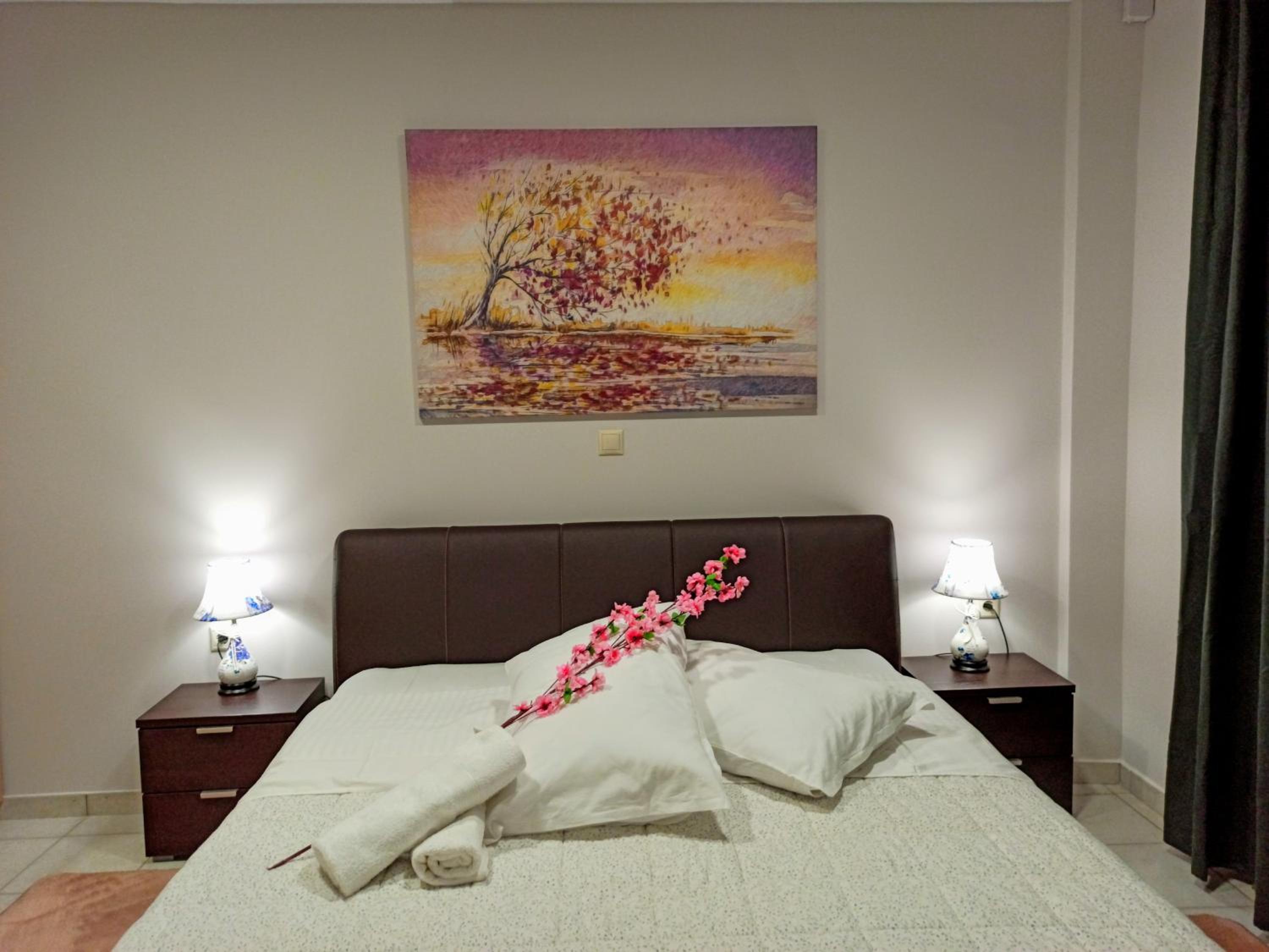 One-Bedroom Apartment photo 3