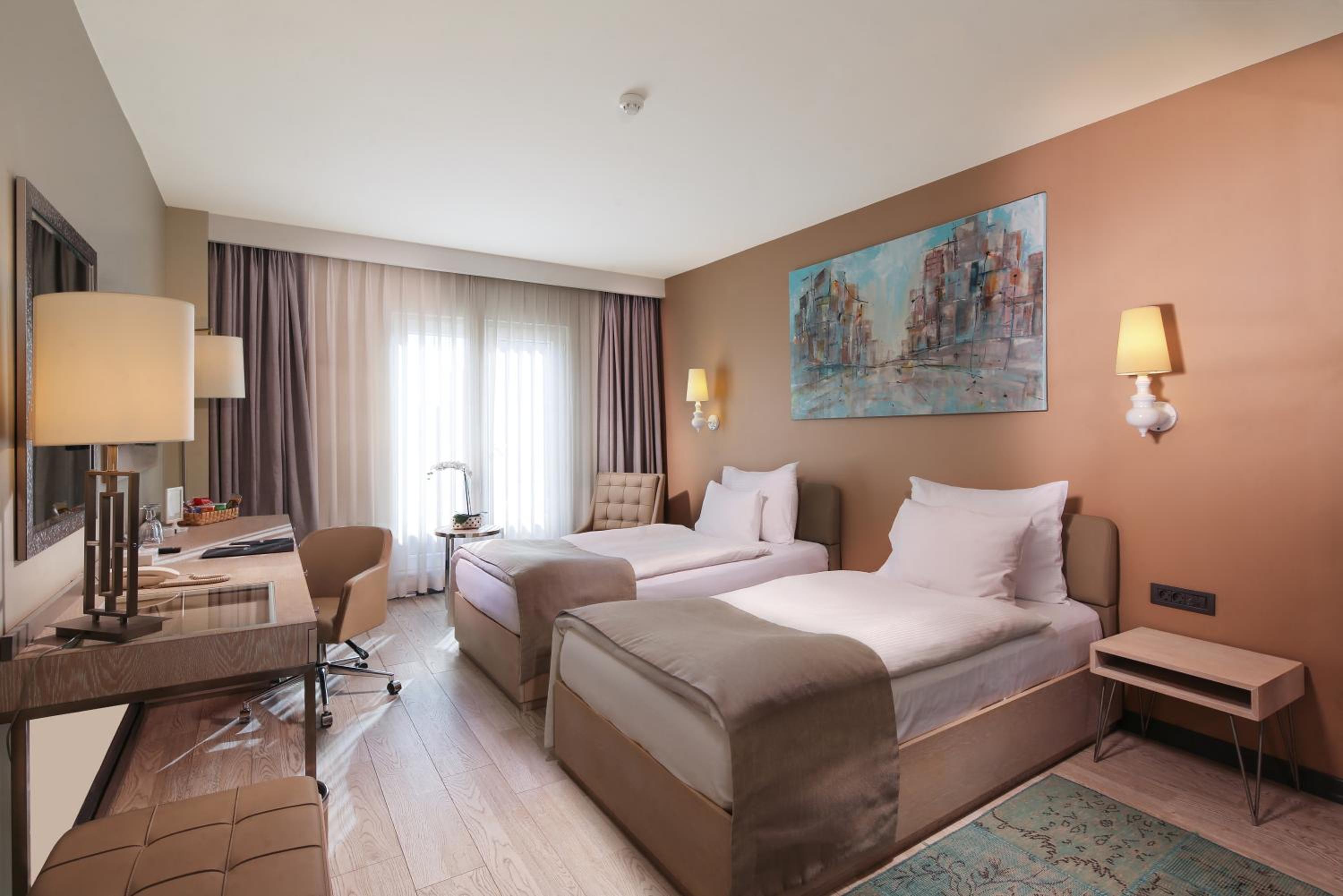Deluxe Twin Room photo 1