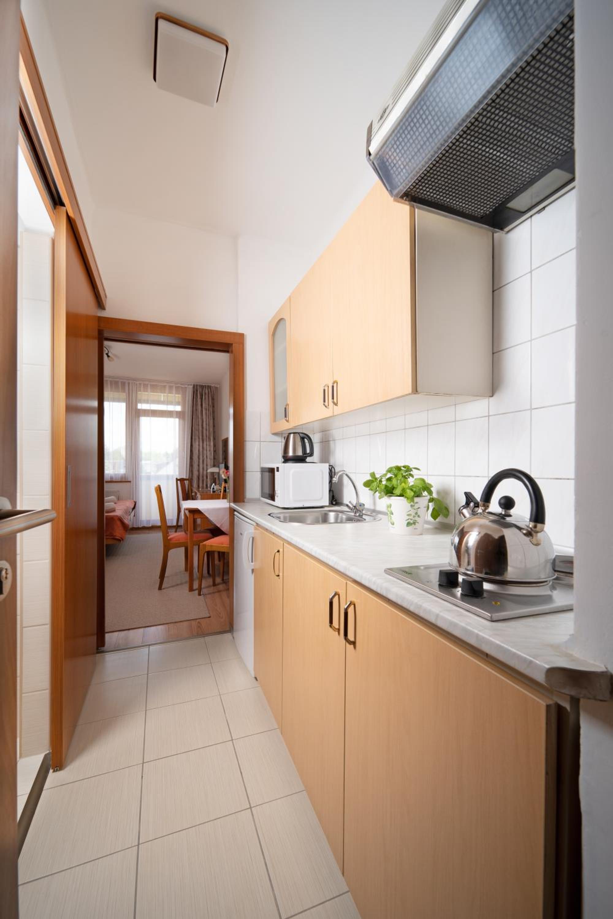 Studio Apartment with Balcony photo 3