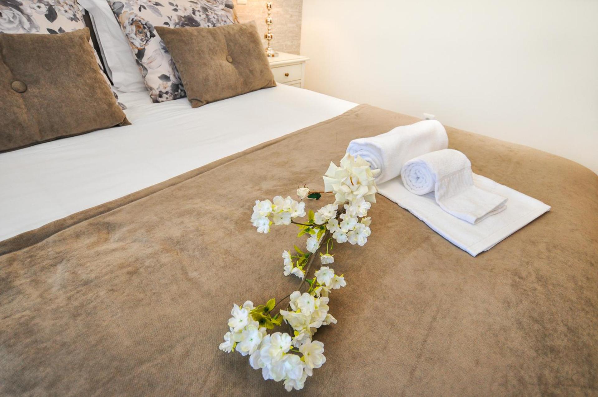 Superior One-Bedroom Apartment - Photo 4
