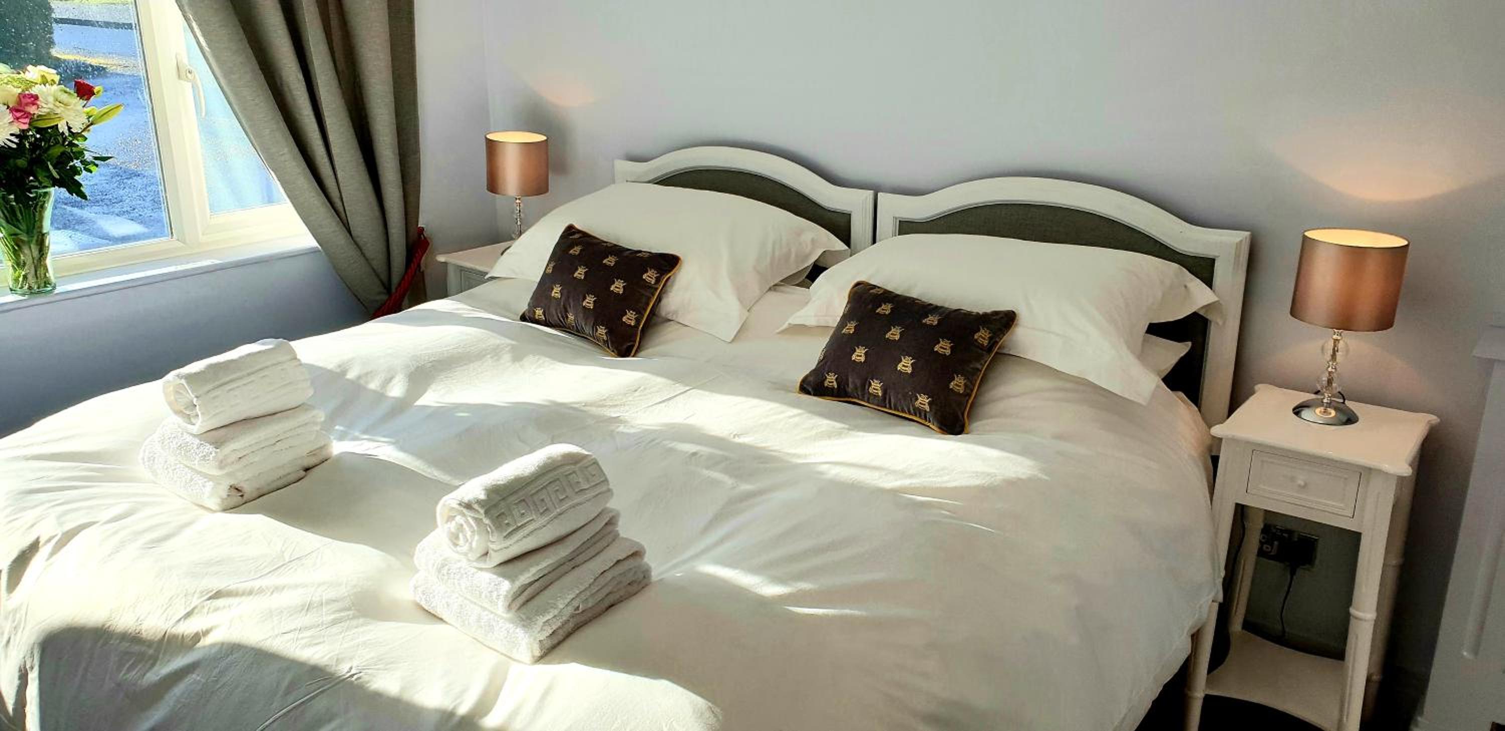 Deluxe Double Or Twin Room