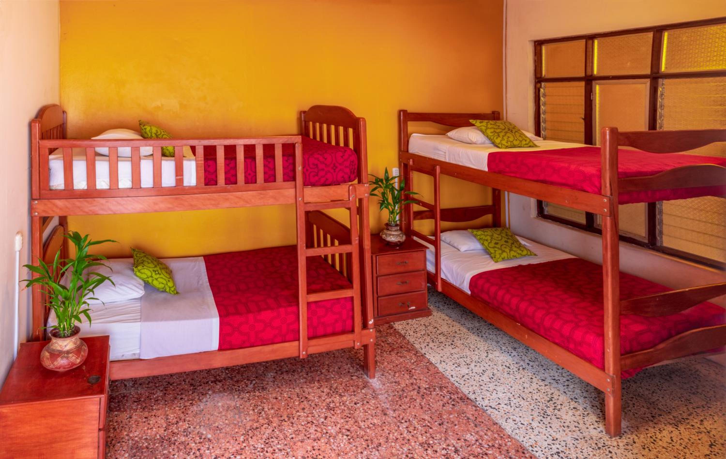 Bed in 4-Bed Mixed Dormitory Room photo 1