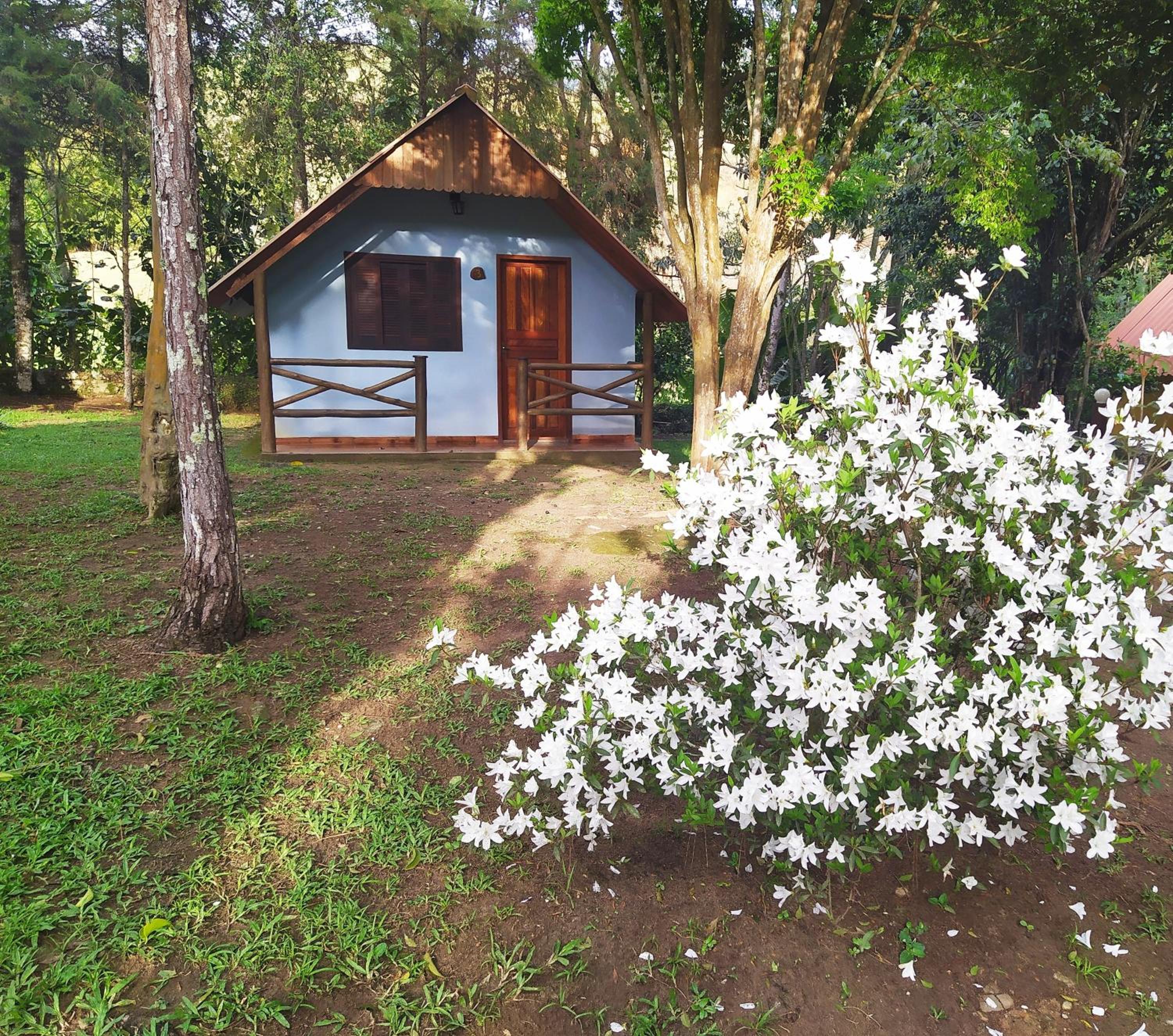 Chalet photo 2