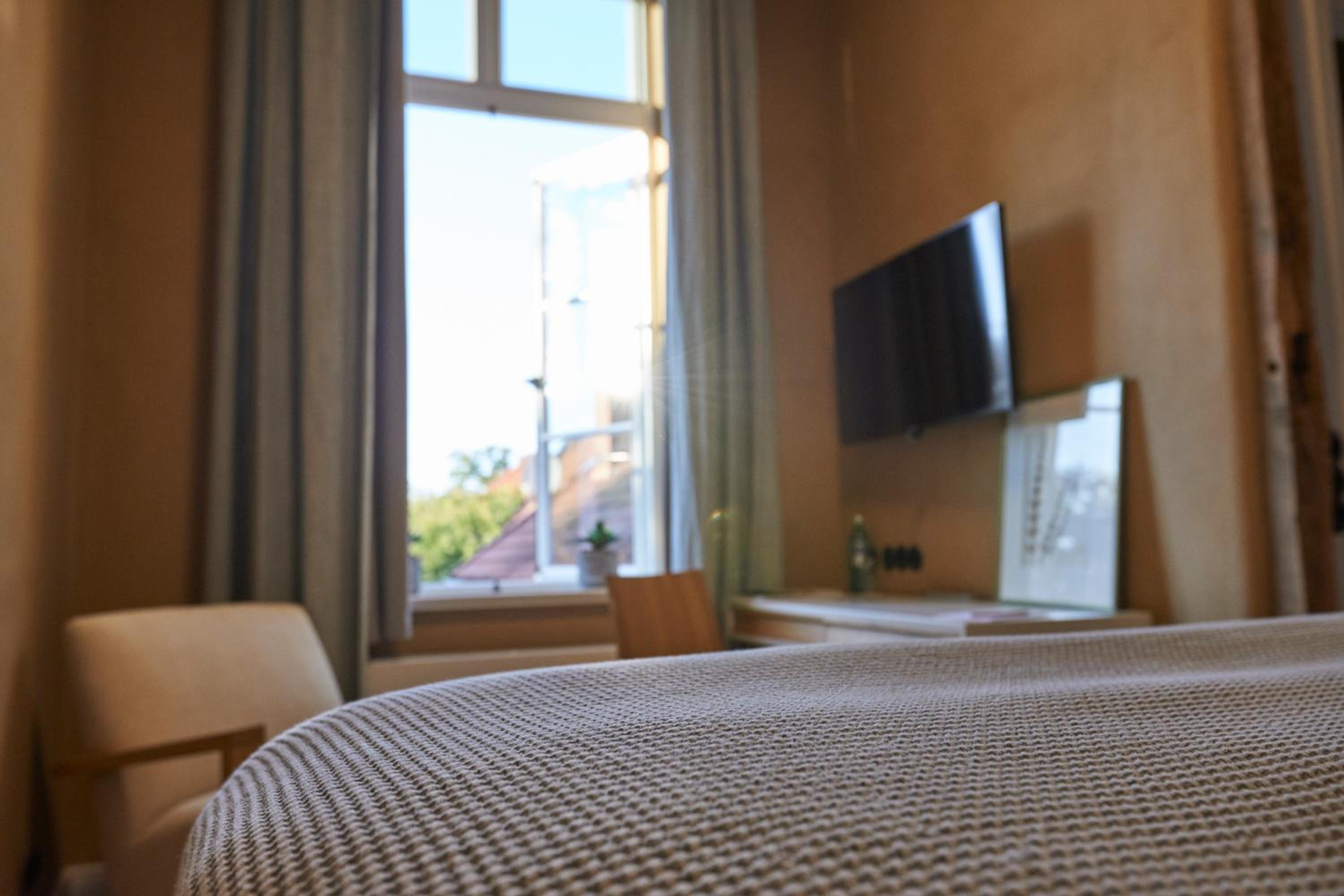 Deluxe Single Room photo 3