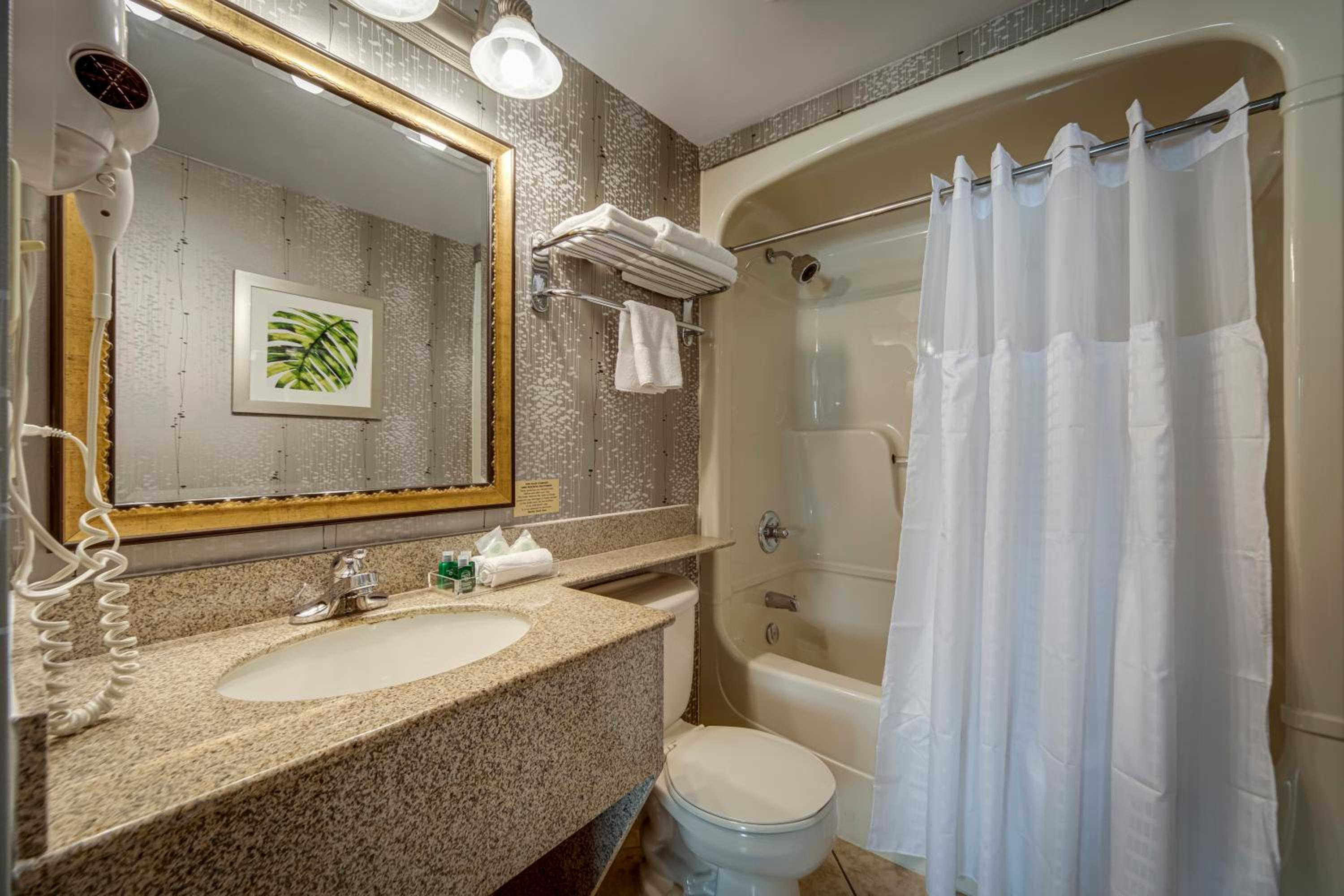 King Suite with Jetted Tub - Photo 5