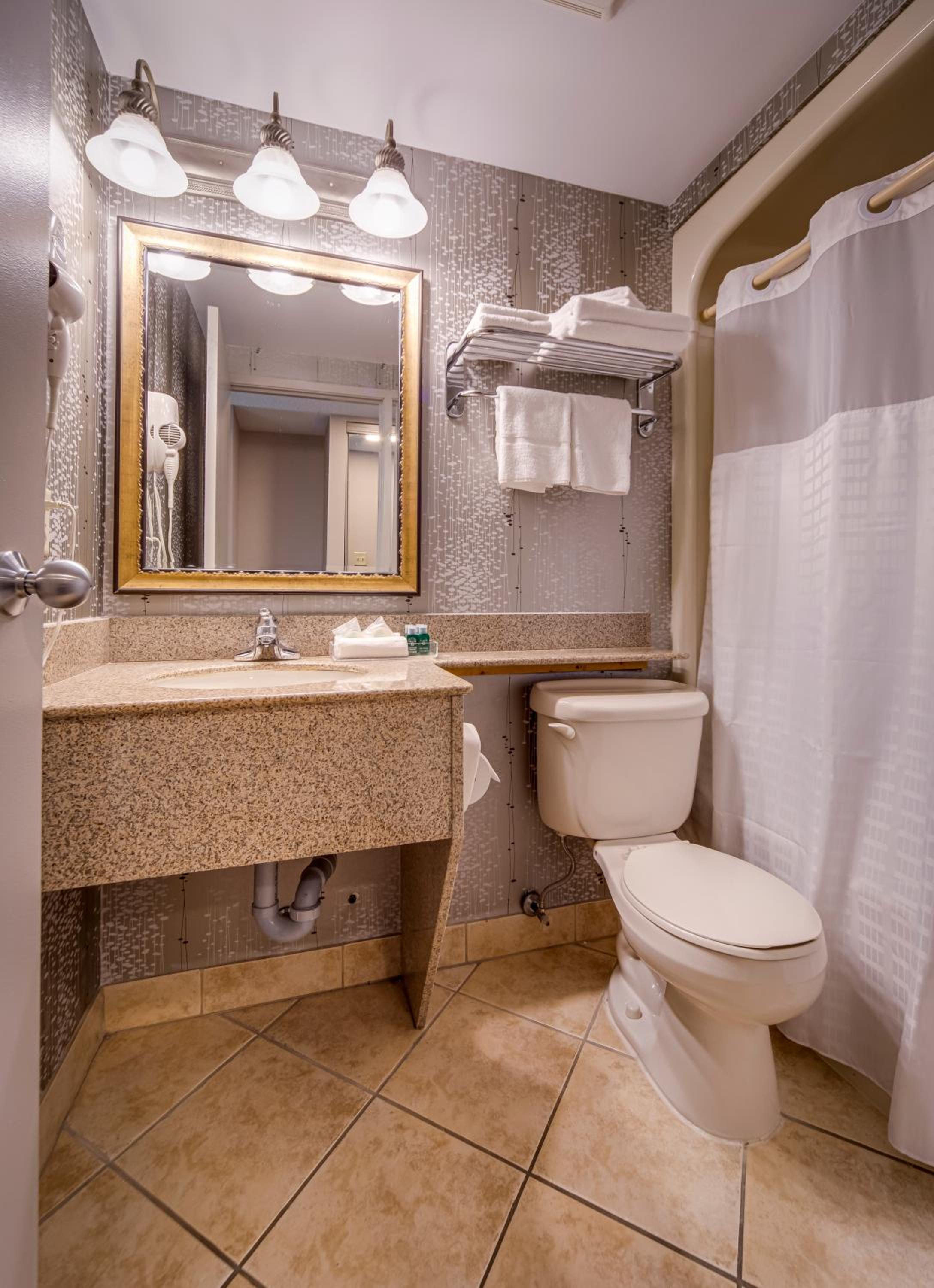 King Suite with Jetted Tub - Photo 6