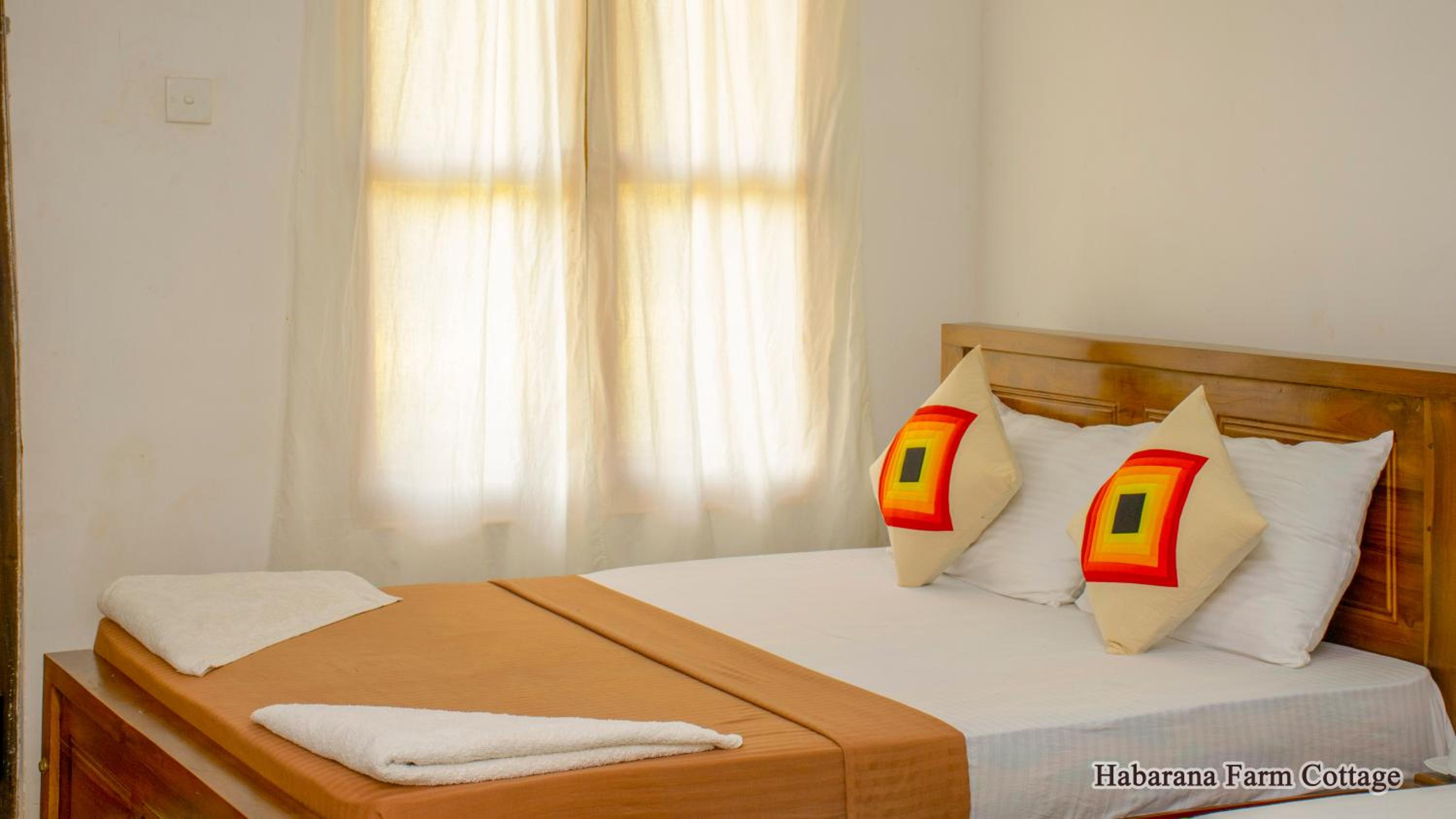 Single Bed in Mixed Dormitory Room photo 3
