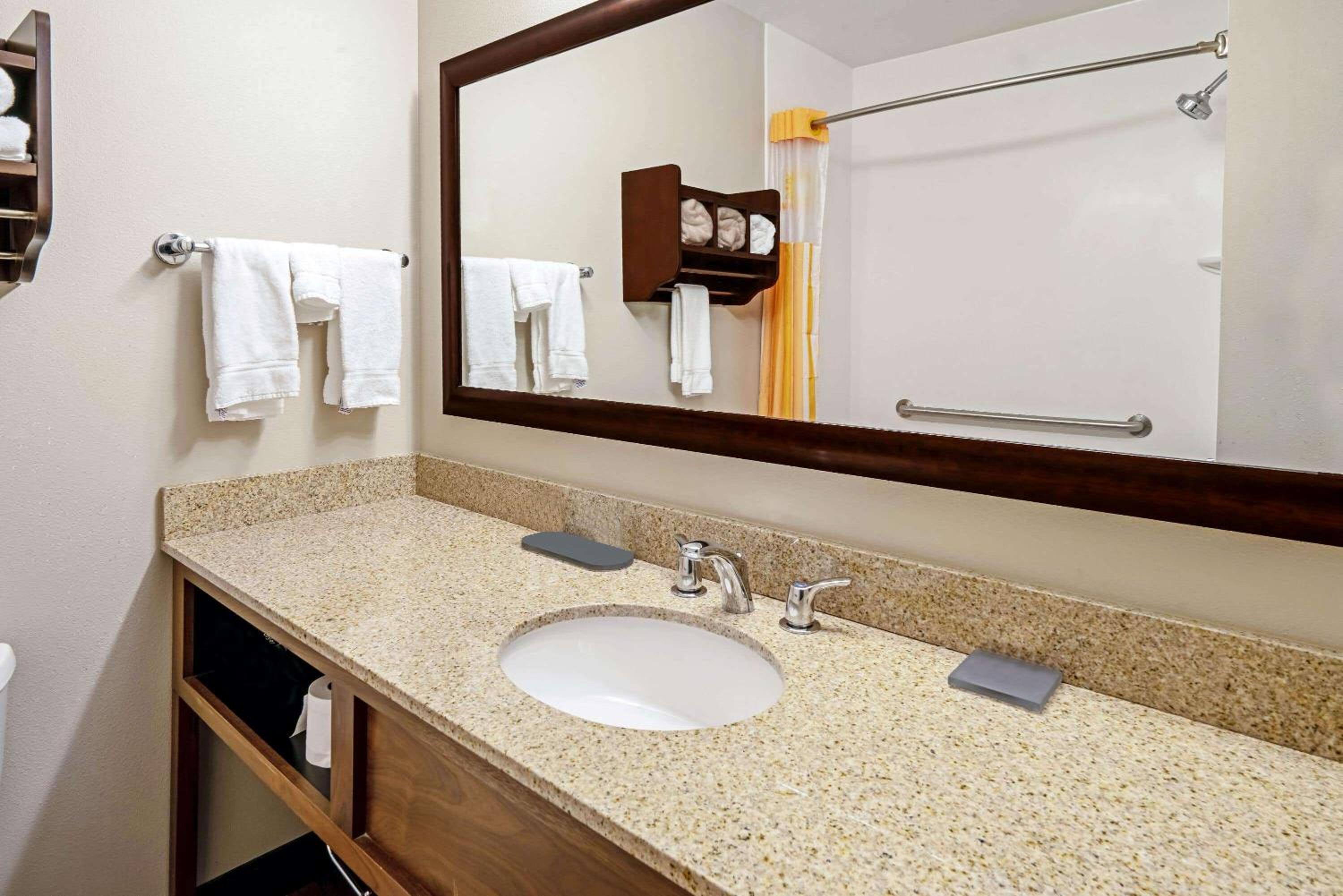 King Suite with Mountain View - Non-Smoking - Photo 4