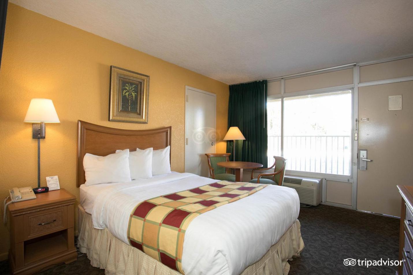 Standard Single Room photo 2