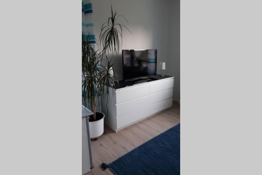 Apartment photo 3