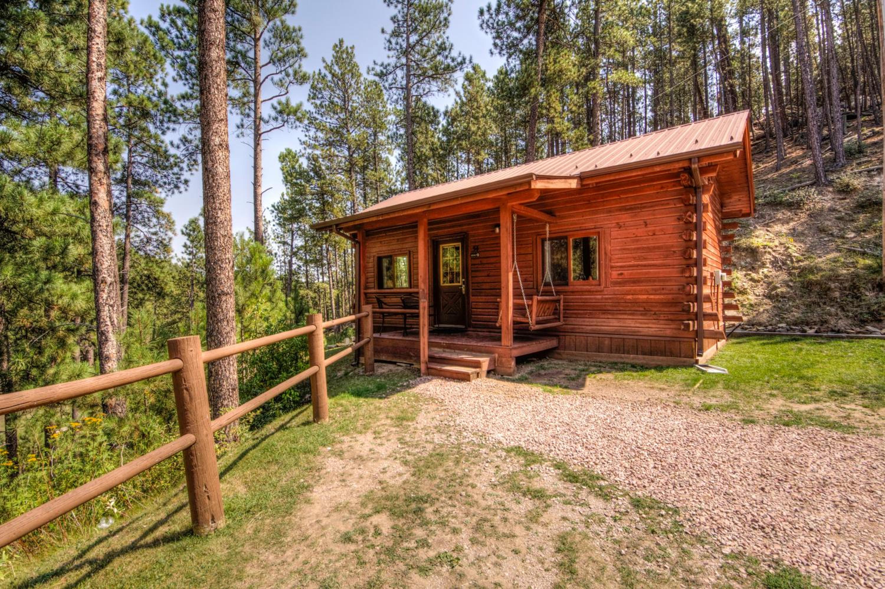 Deluxe Family Cabin photo 2